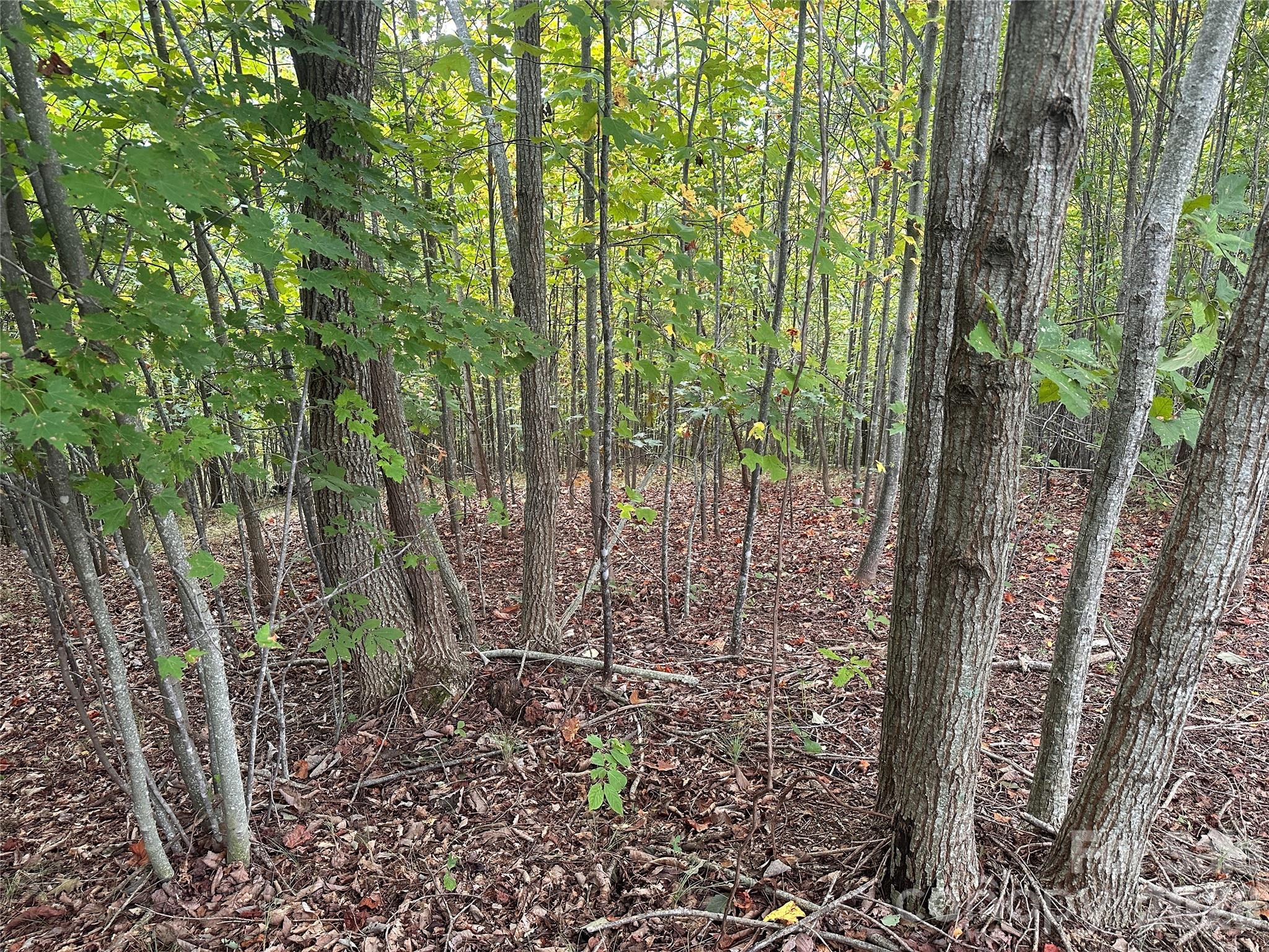 311 Scenic Vista Drive 254 Property Photo 2