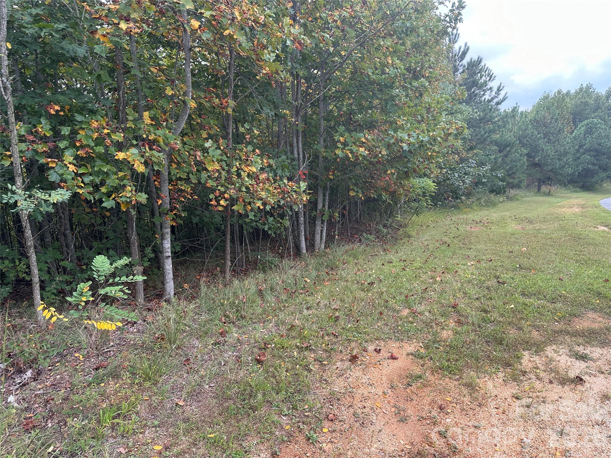 311 Scenic Vista Drive 254 Property Photo 5