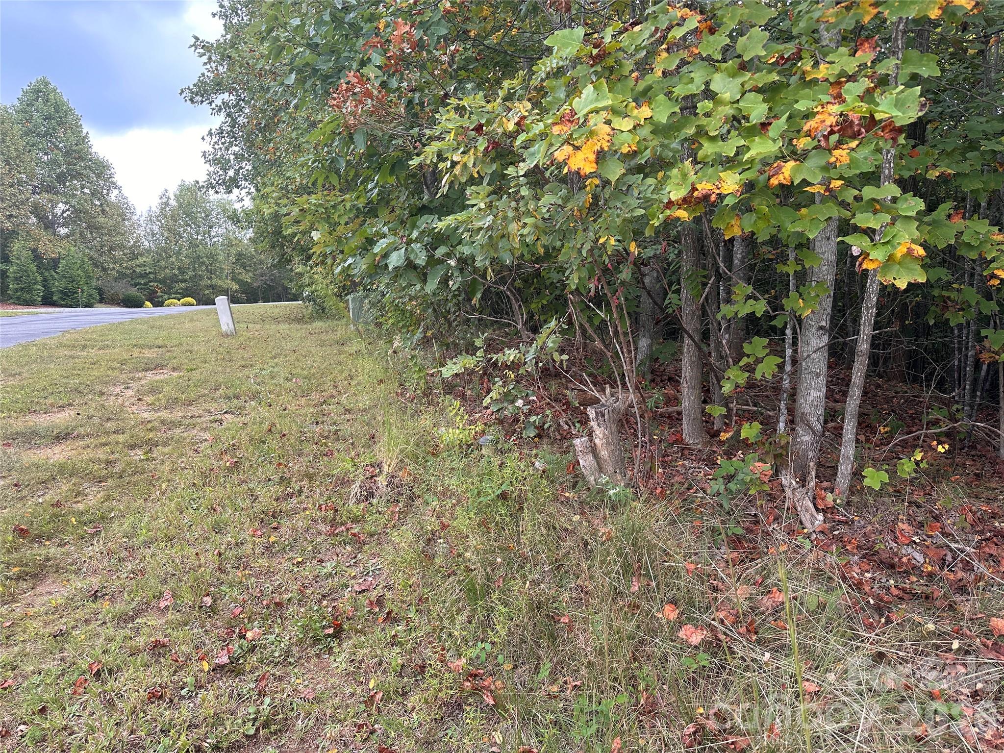 311 Scenic Vista Drive 254 Property Photo 6