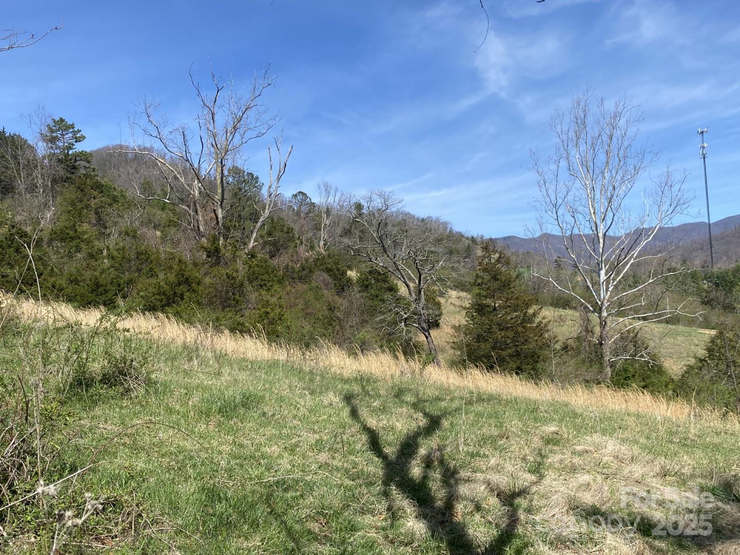 1 Pink Fox Cove Road Property Photo 6