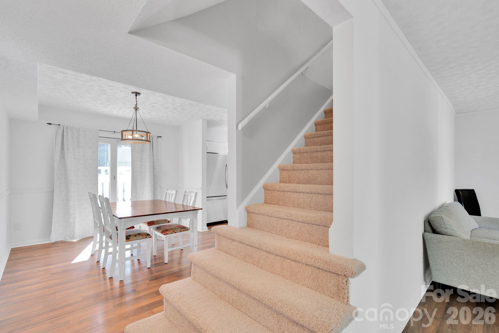 8510 Castle Pine Court Property Photo 6