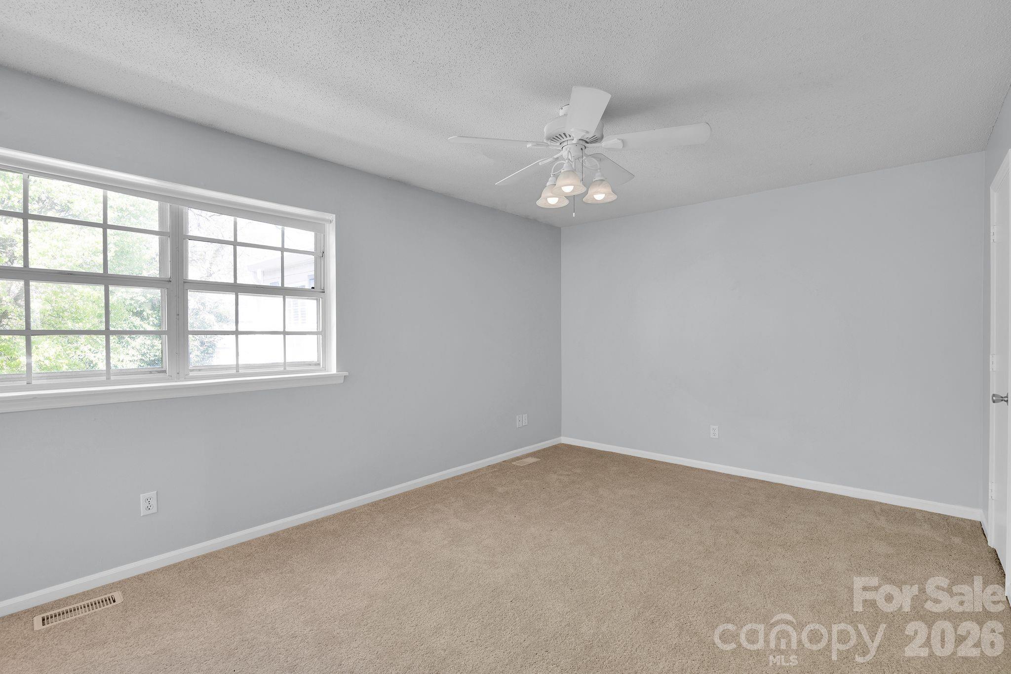 8510 Castle Pine Court Property Photo 18