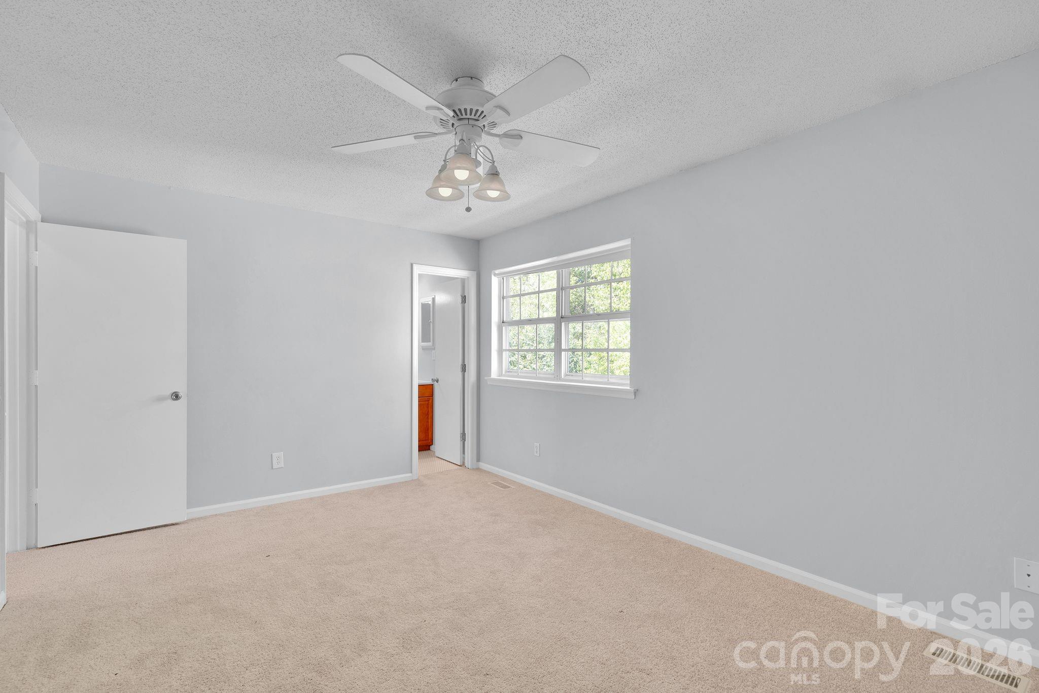 8510 Castle Pine Court Property Photo 19