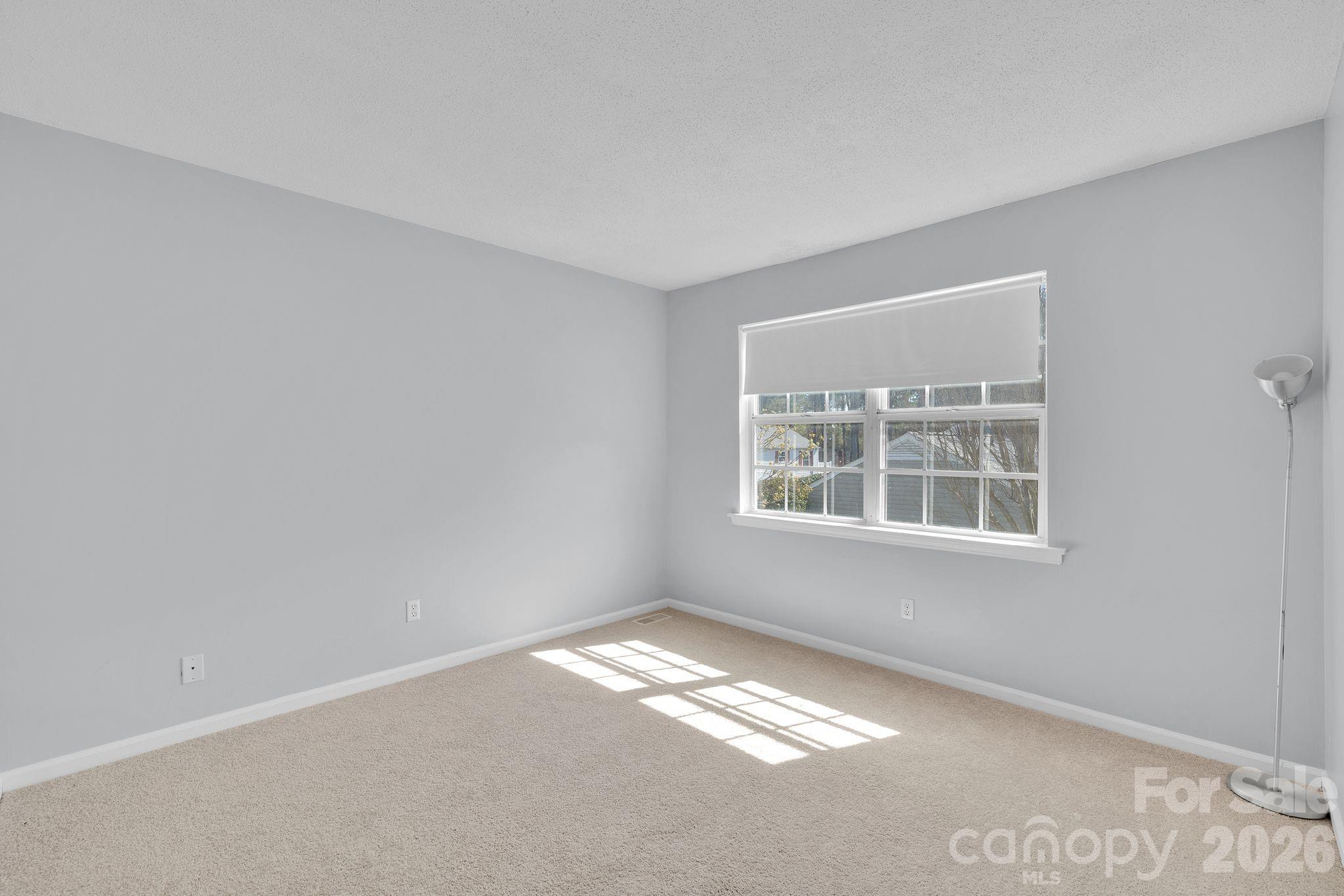 8510 Castle Pine Court Property Photo 23