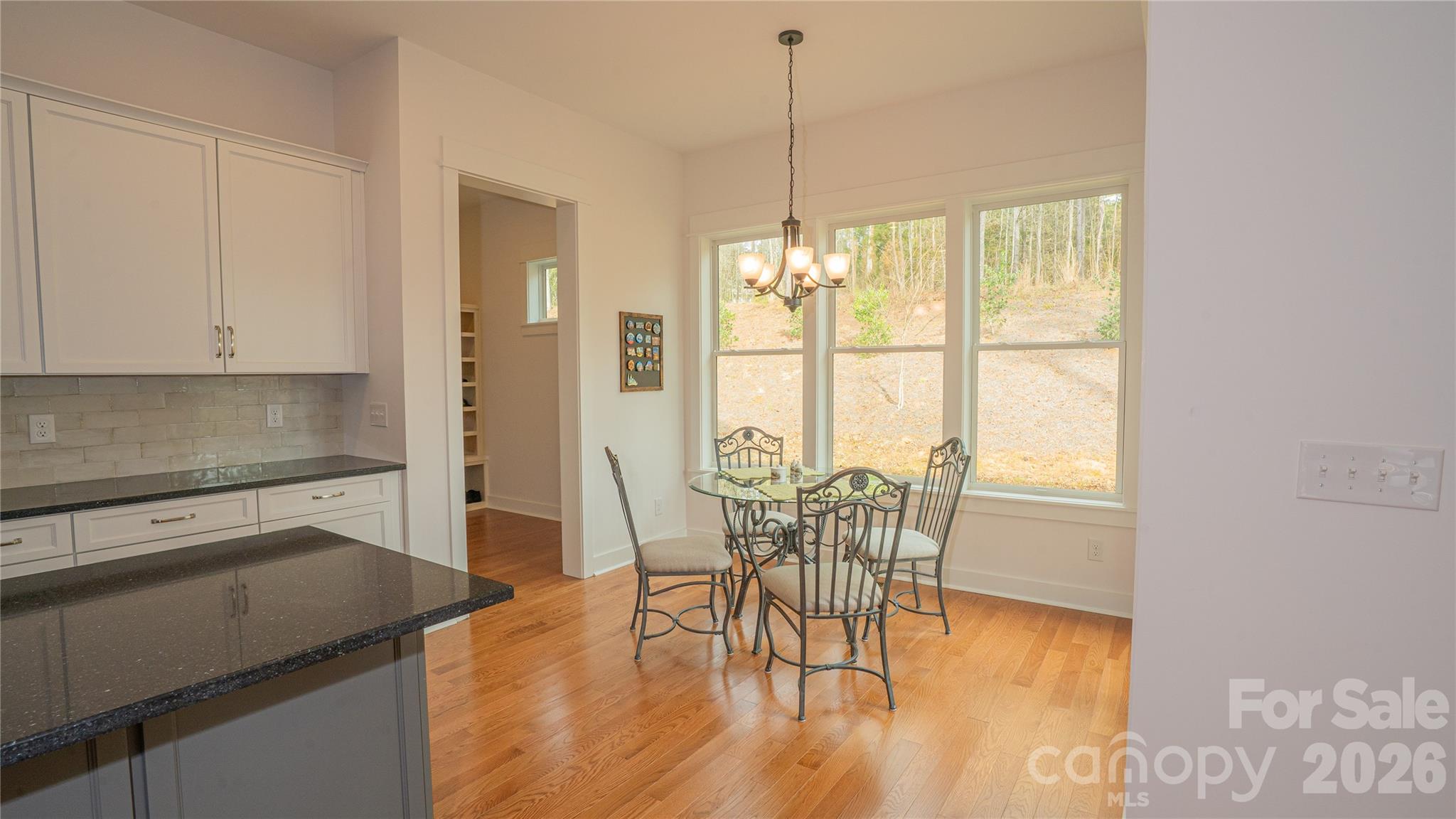 6178 Chimney Bluff Road Property Photo 9