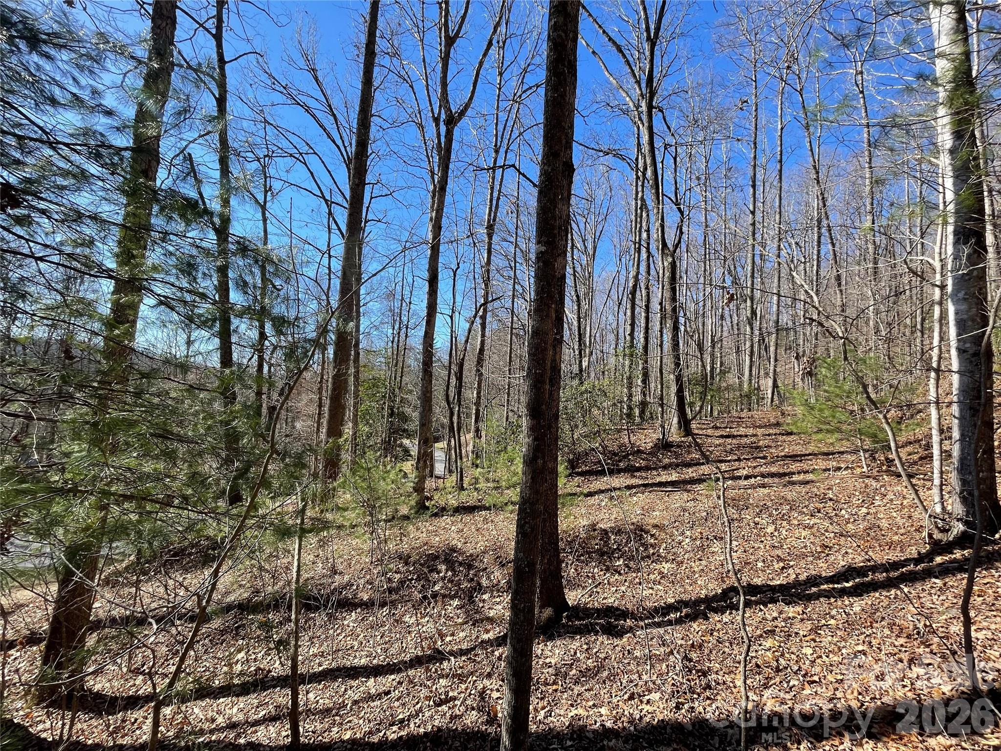 00 Chattooga Run 292r Property Photo 5