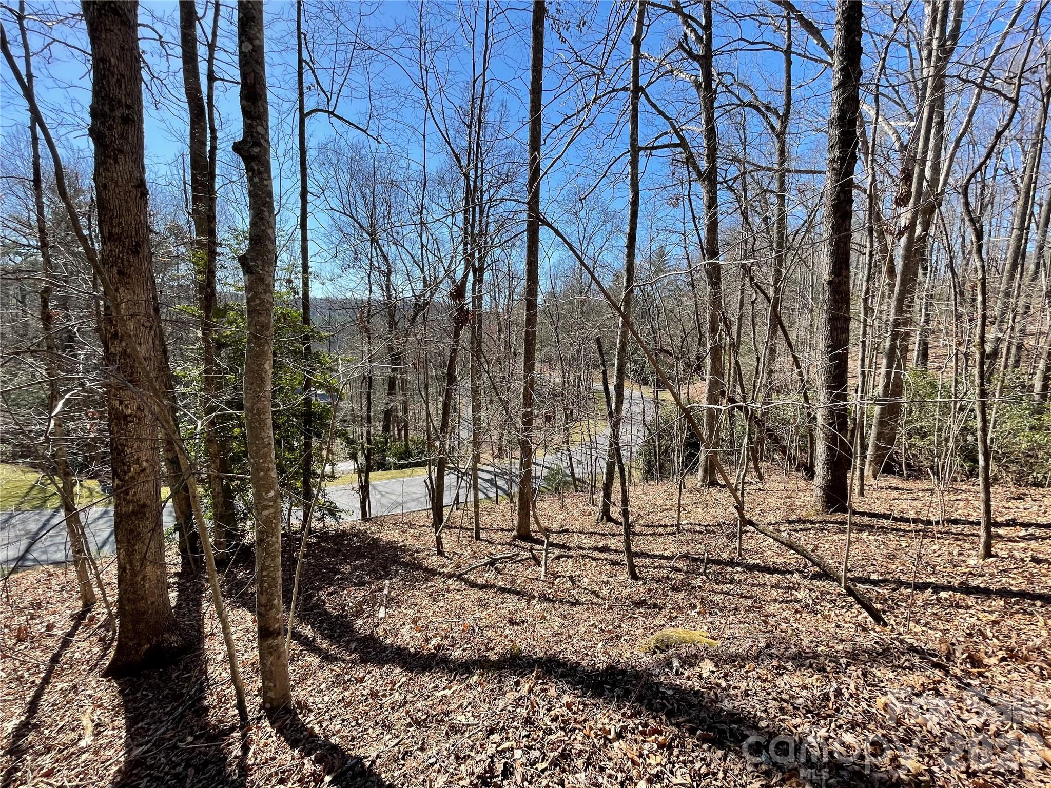 00 Chattooga Run 292r Property Photo 6