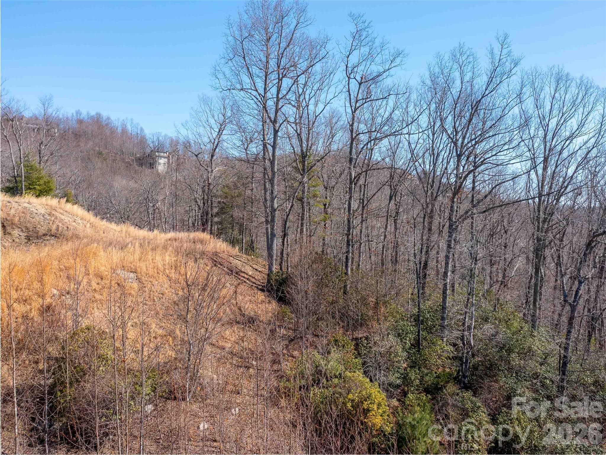 00 Chattooga Run 292r Property Photo 7