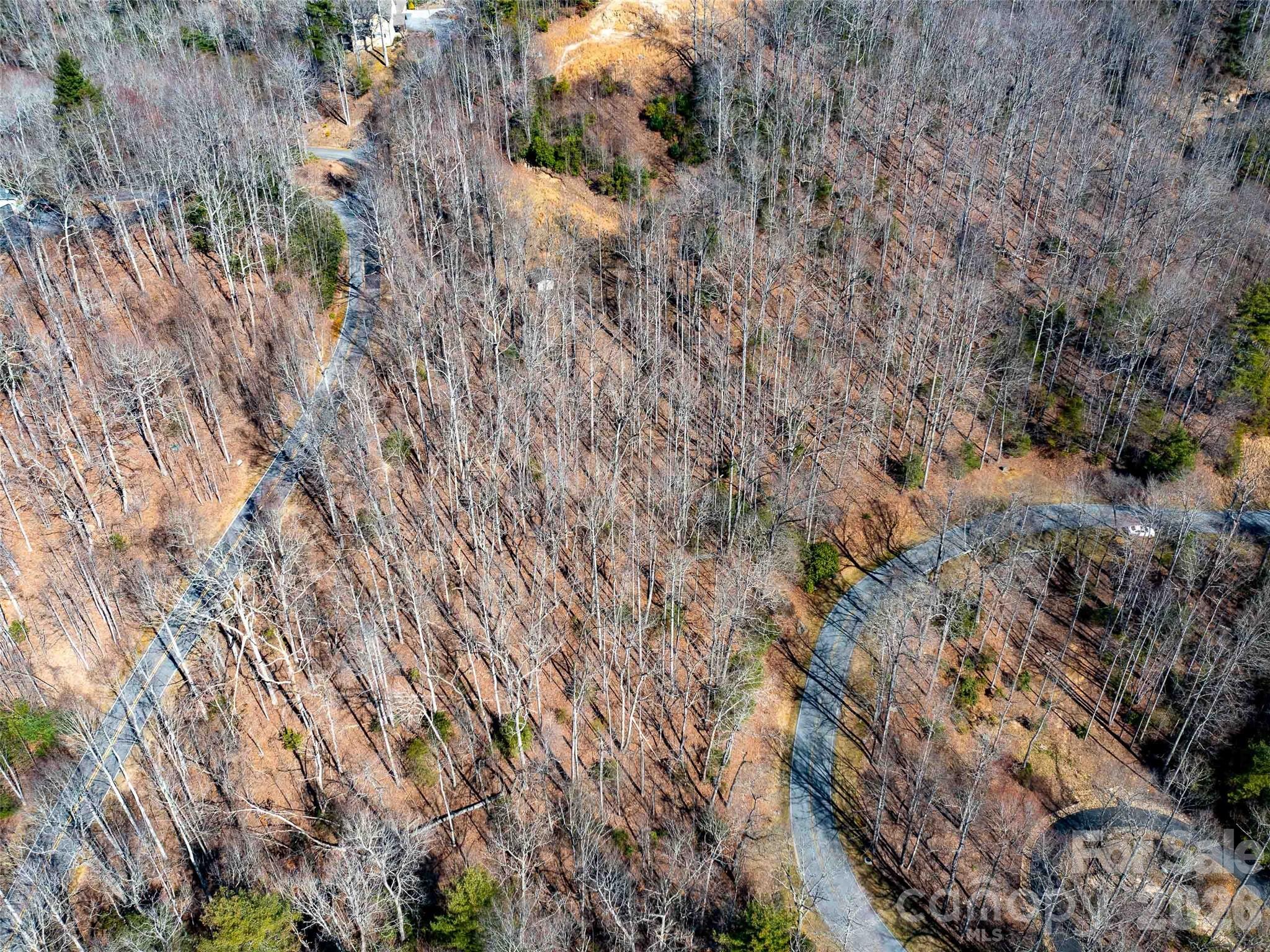 00 Chattooga Run 292r Property Photo 14