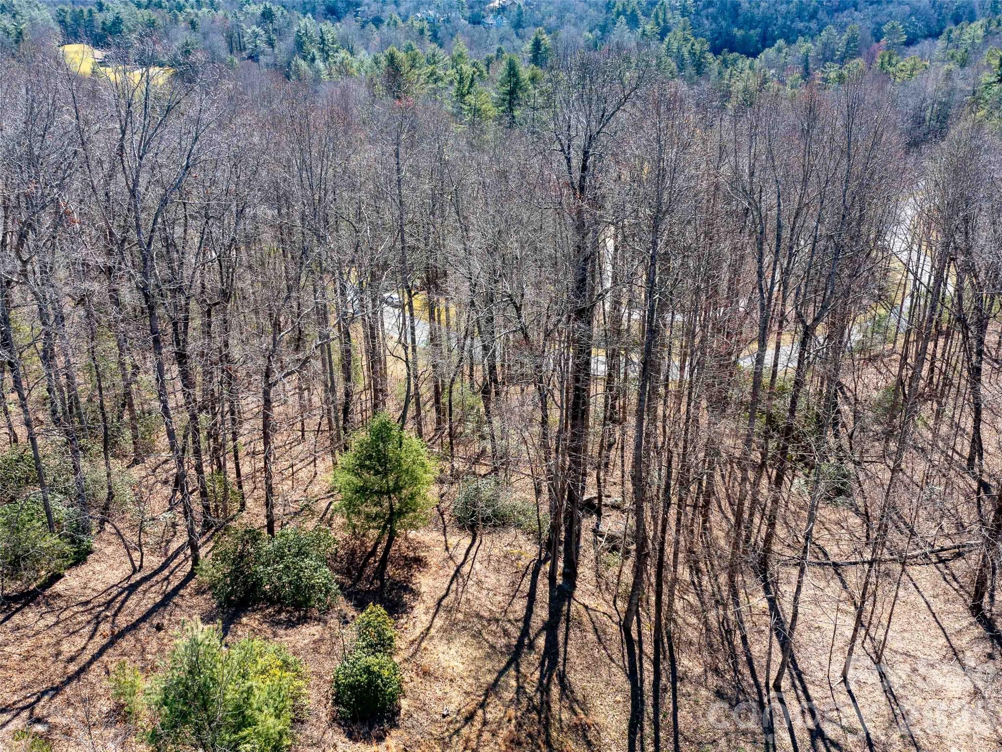 00 Chattooga Run 292r Property Photo 19