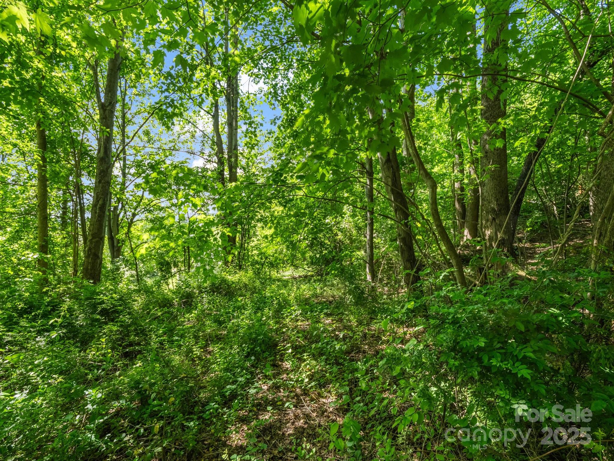00000 Hamilton Acres Drive 4, 5, & 6 Property Photo 8