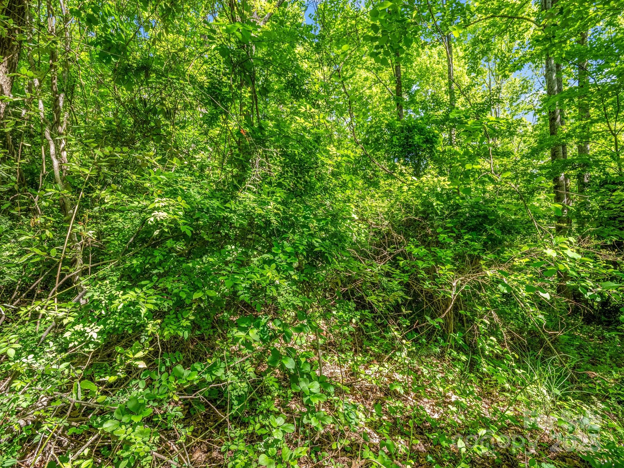 00000 Hamilton Acres Drive 4, 5, & 6 Property Photo 10