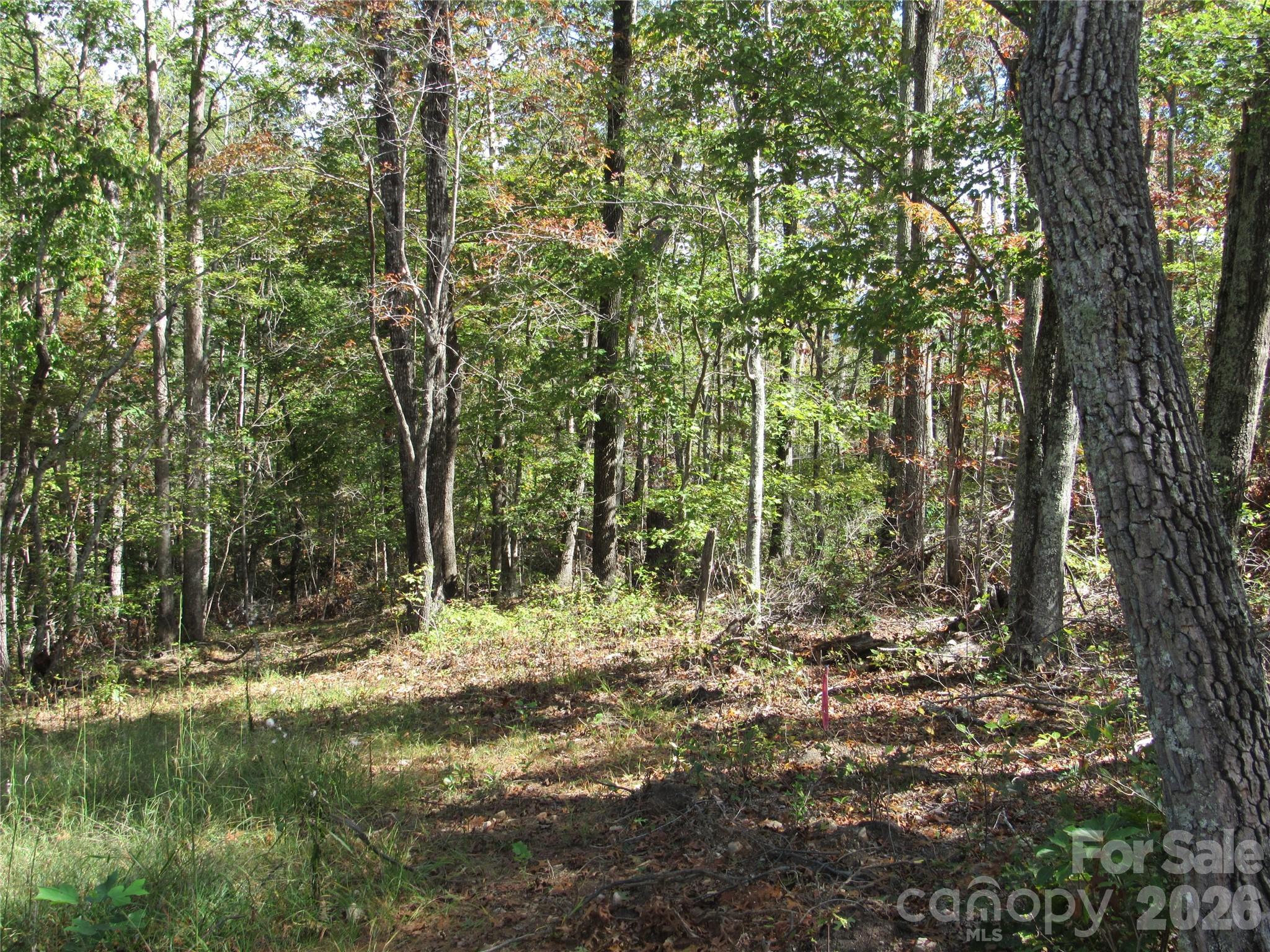 150 Summers Way Property Photo 6