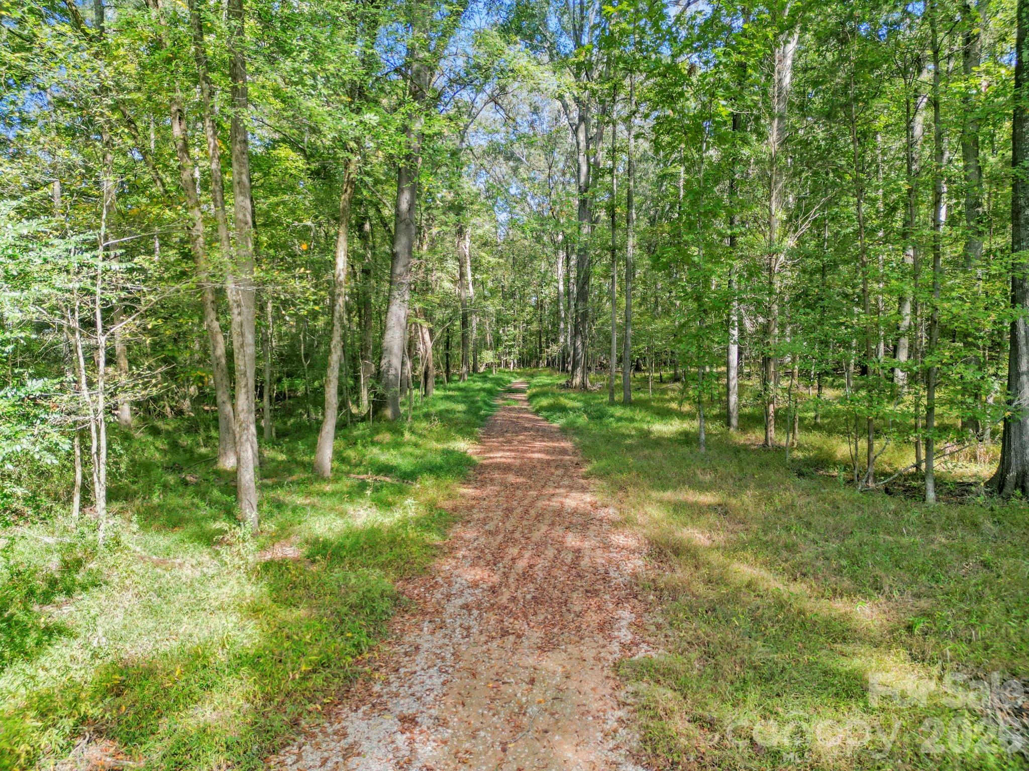 5908 Will Plyler Road Property Photo 1