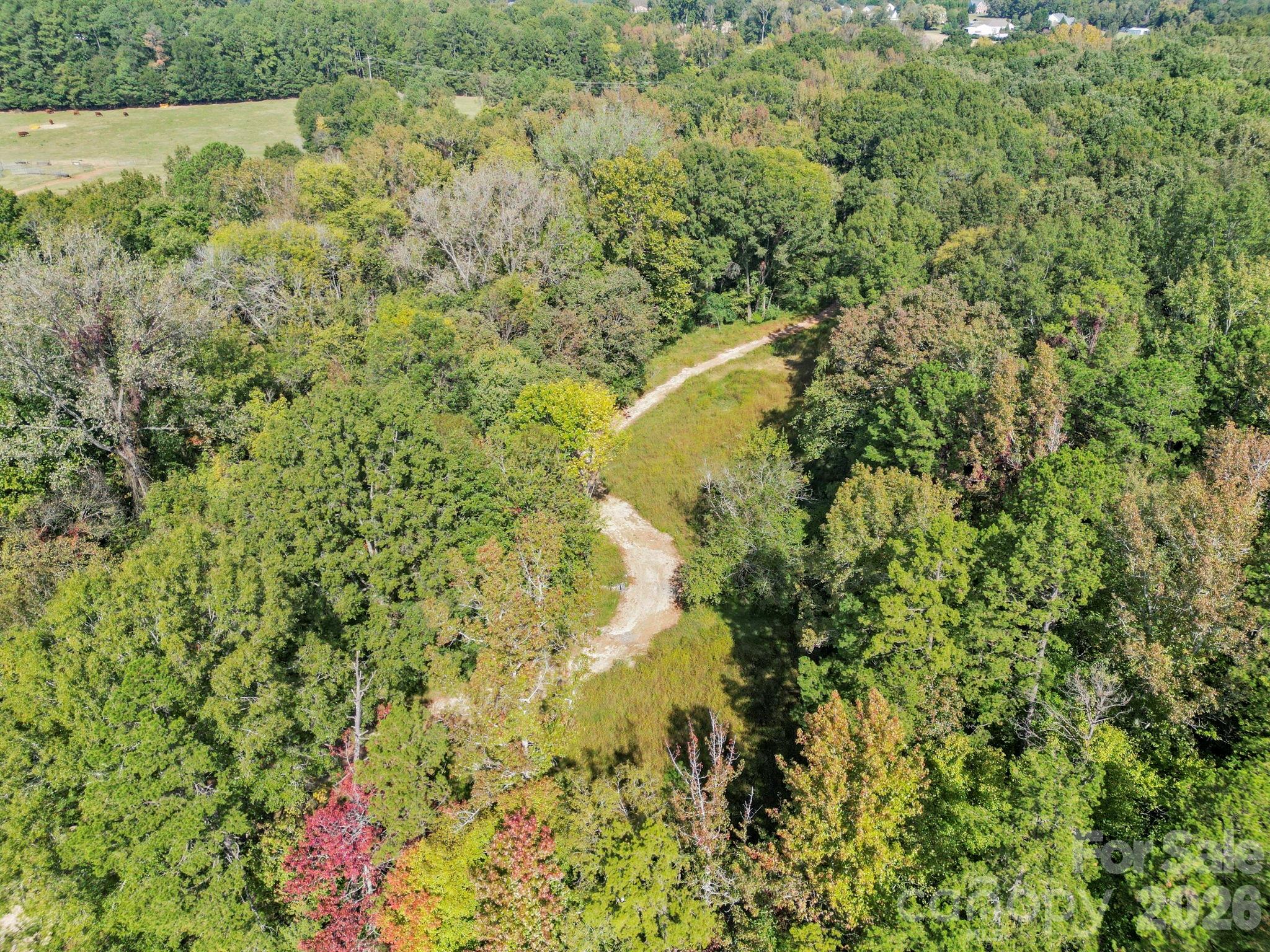 5908 Will Plyler Road Property Photo 6