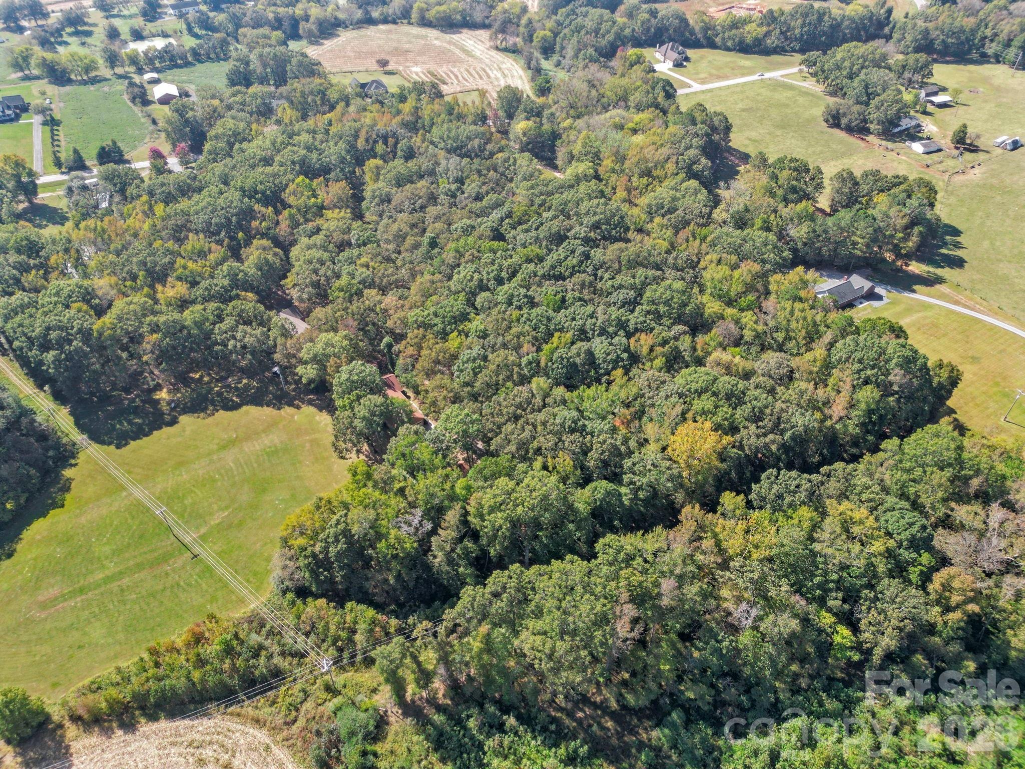 5908 Will Plyler Road Property Photo 7