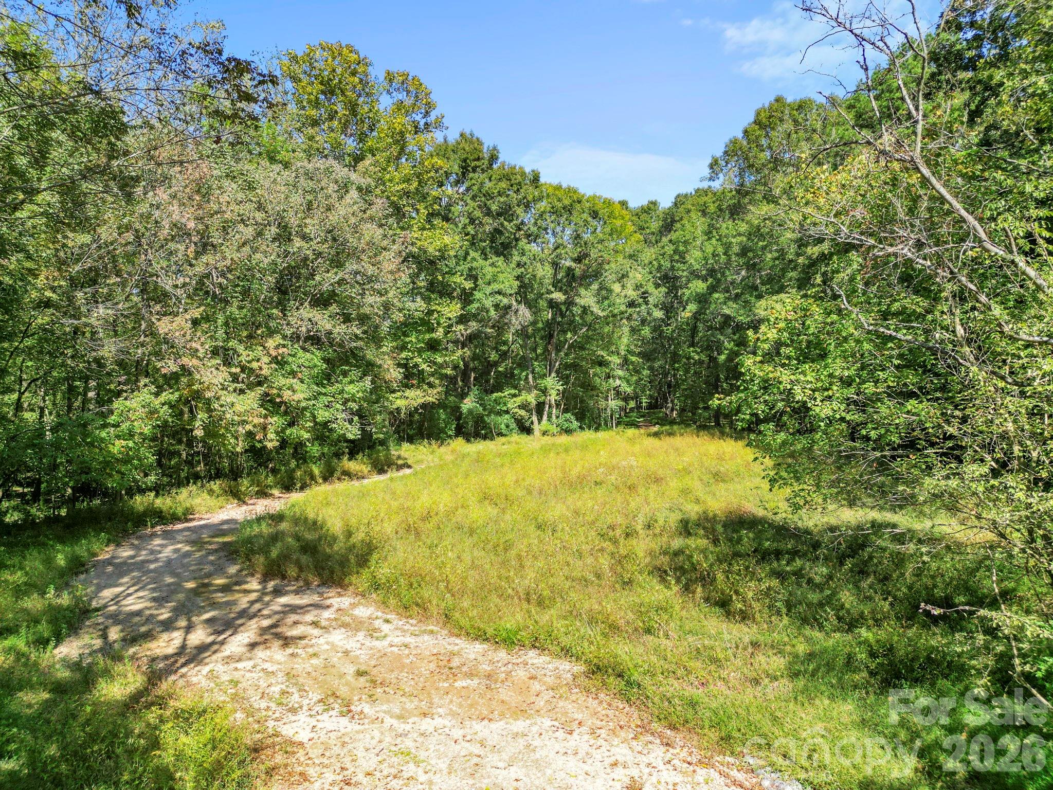 5908 Will Plyler Road Property Photo 11