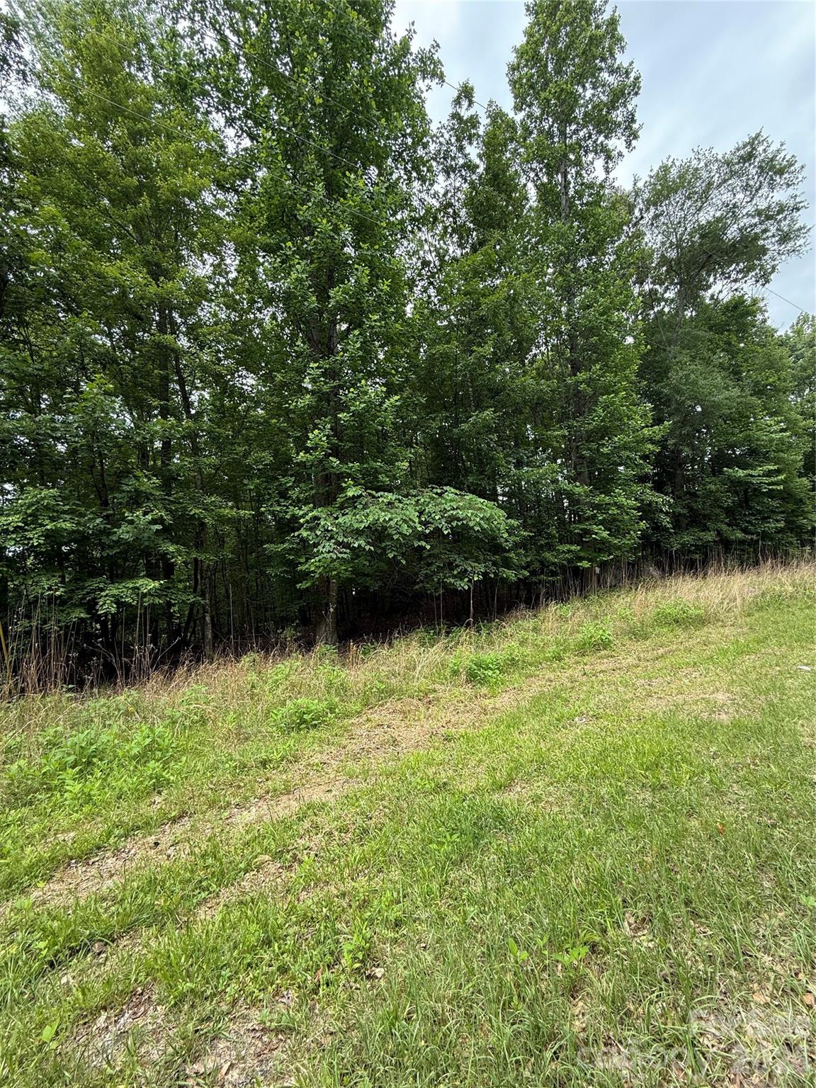 3111 Catawba Road Property Photo 9