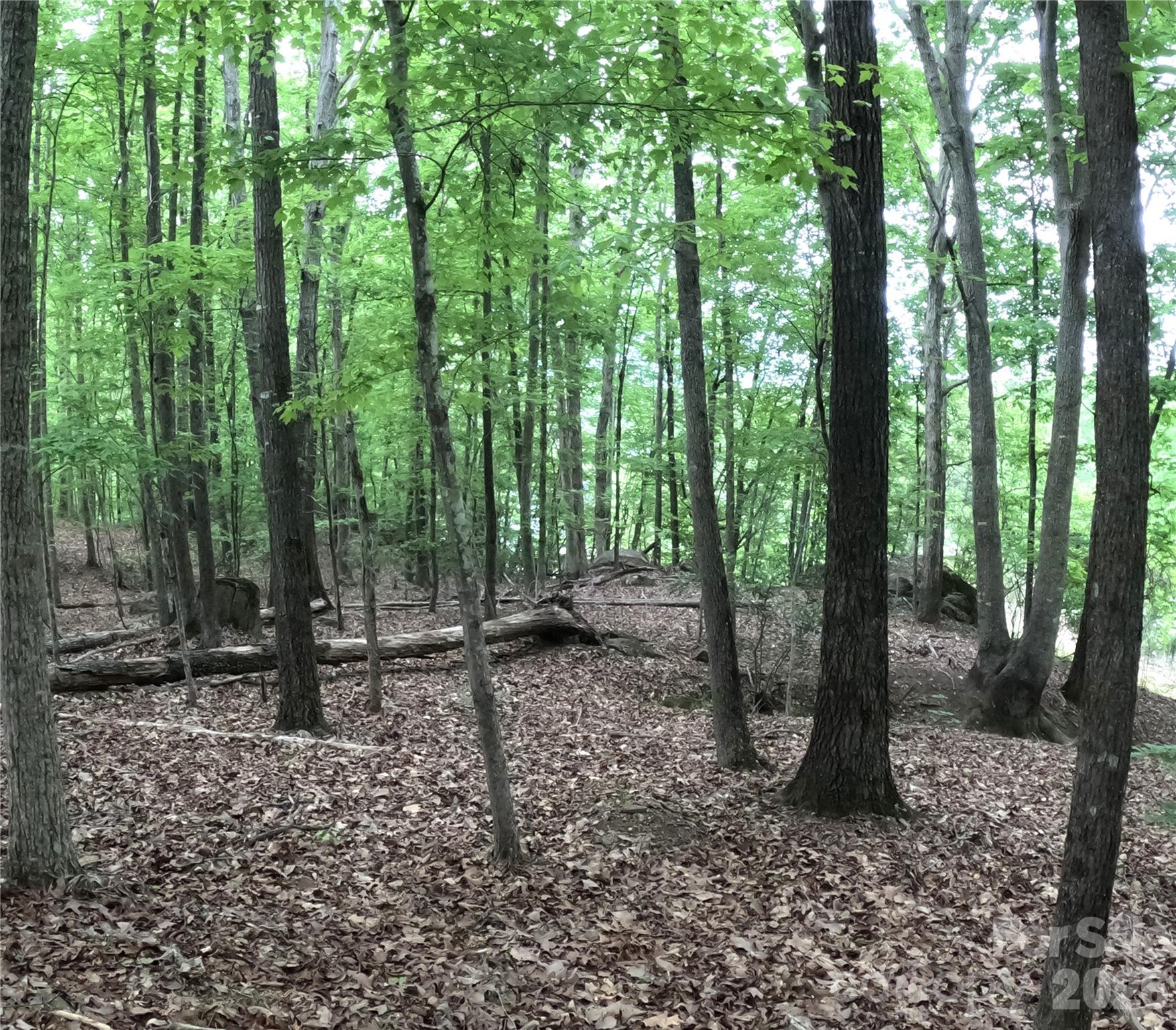 3111 Catawba Road Property Photo 10