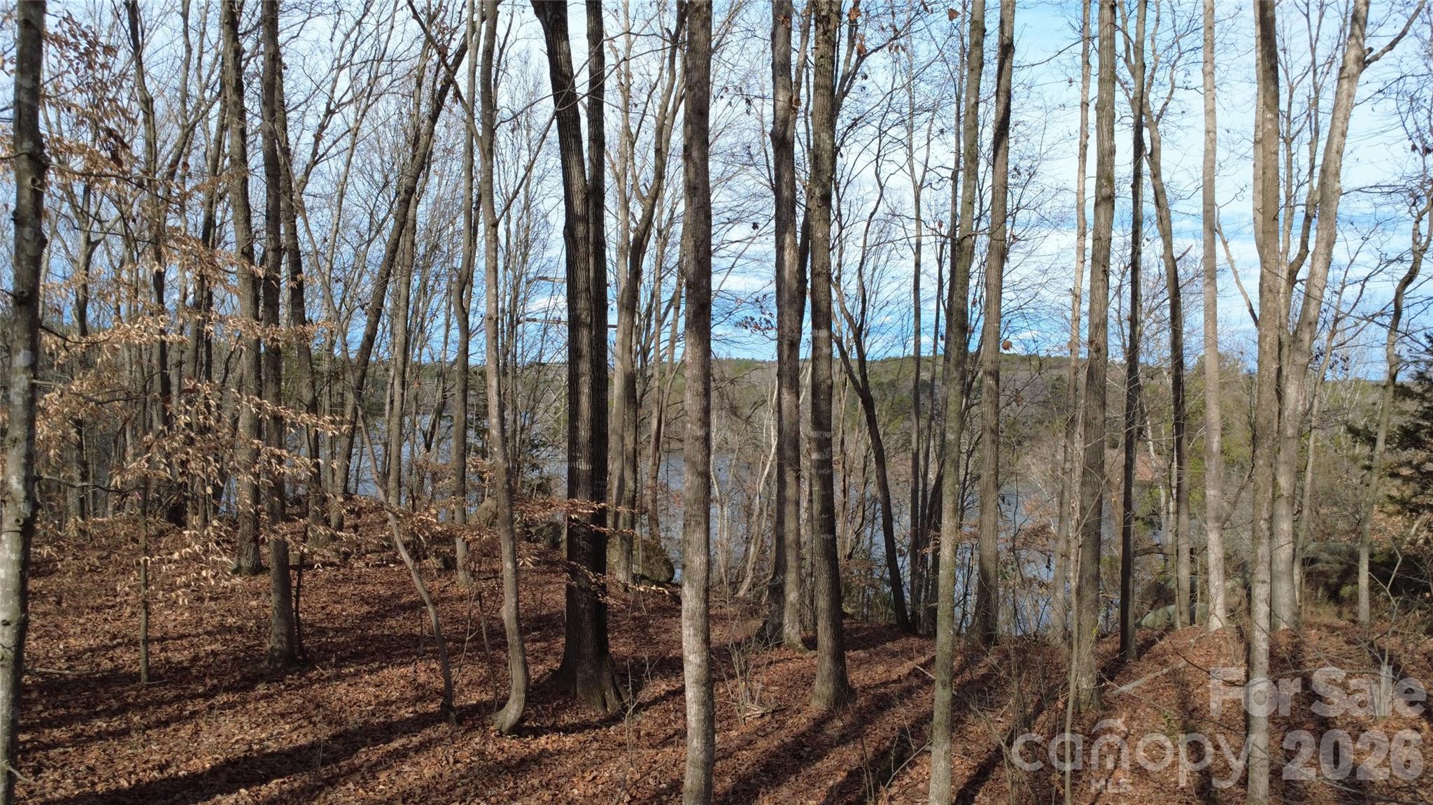3111 Catawba Road Property Photo 11
