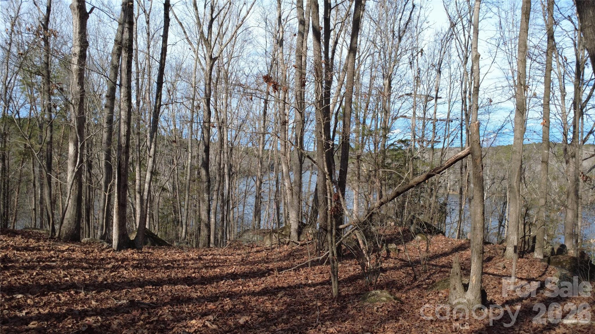 3111 Catawba Road Property Photo 12