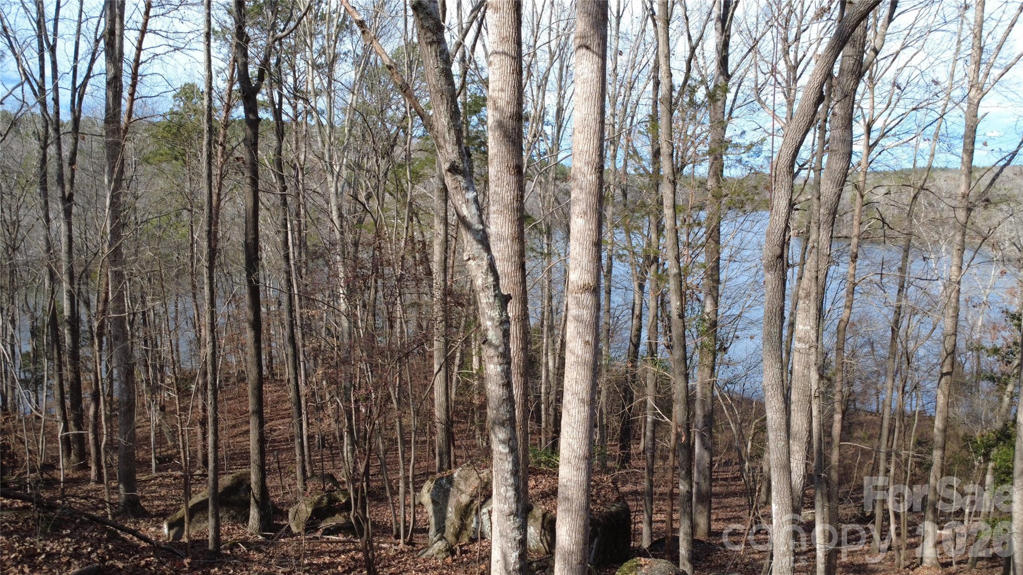 3111 Catawba Road Property Photo 13