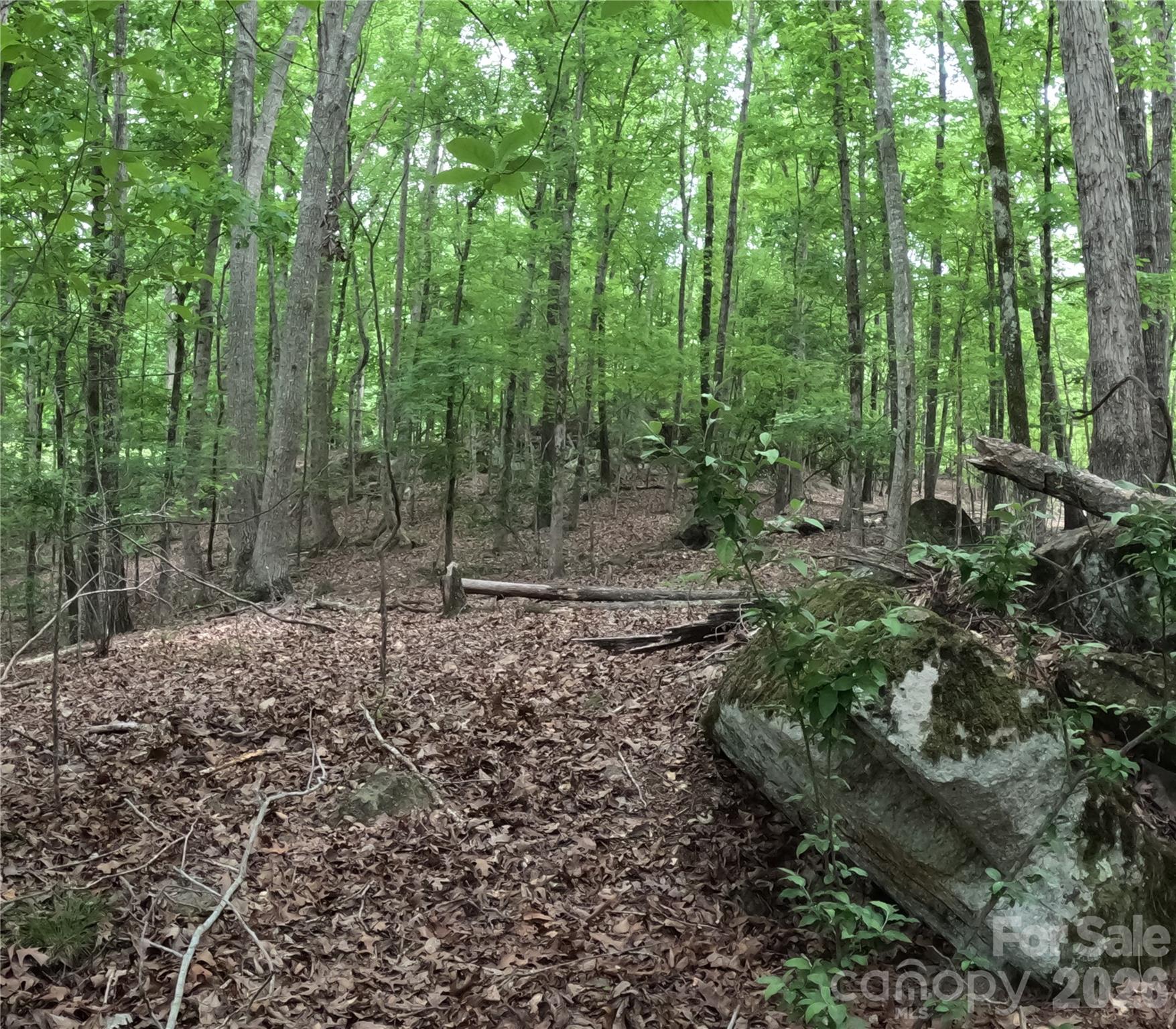 3111 Catawba Road Property Photo 15