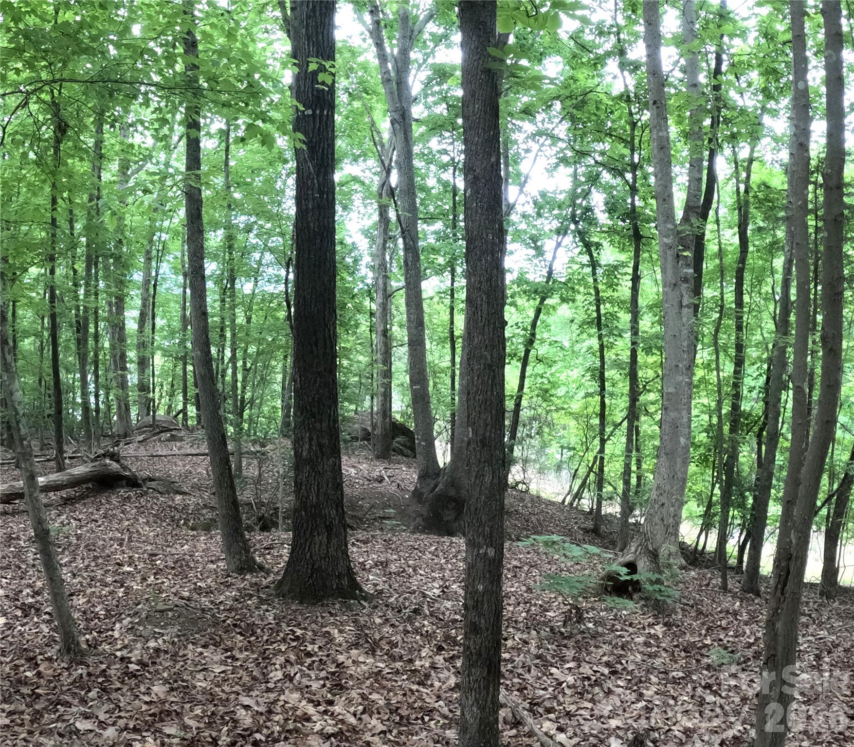 3111 Catawba Road Property Photo 16