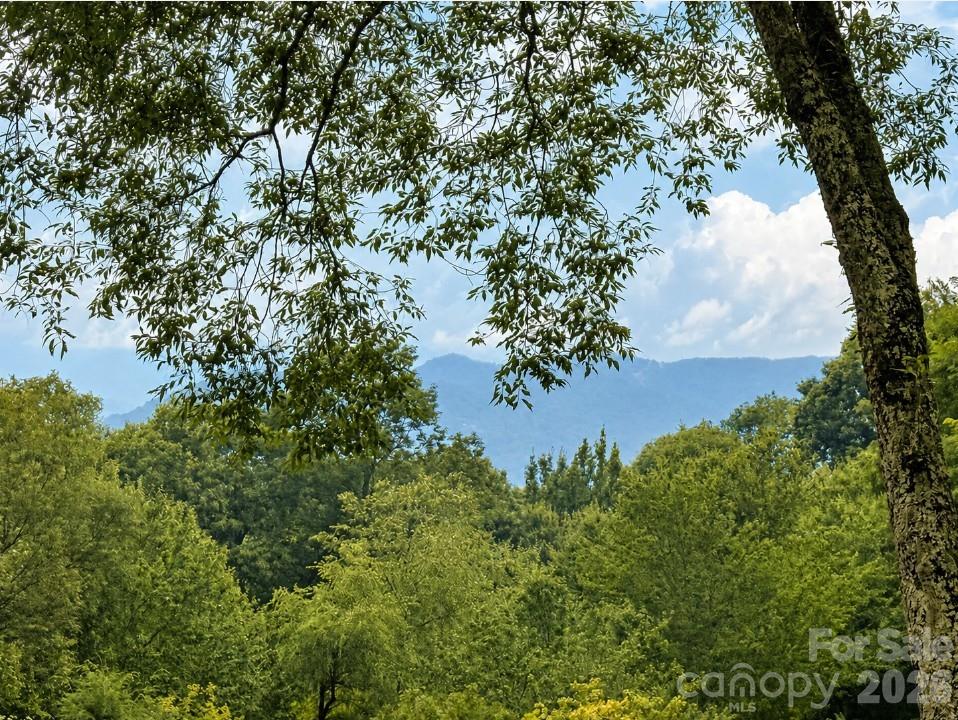 71 Ivy Ridge Road Property Photo 11