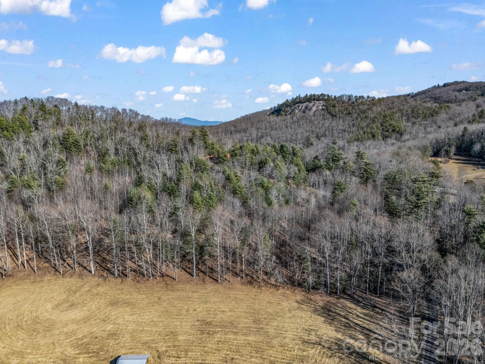 171 Justamere Lane Property Photo 3