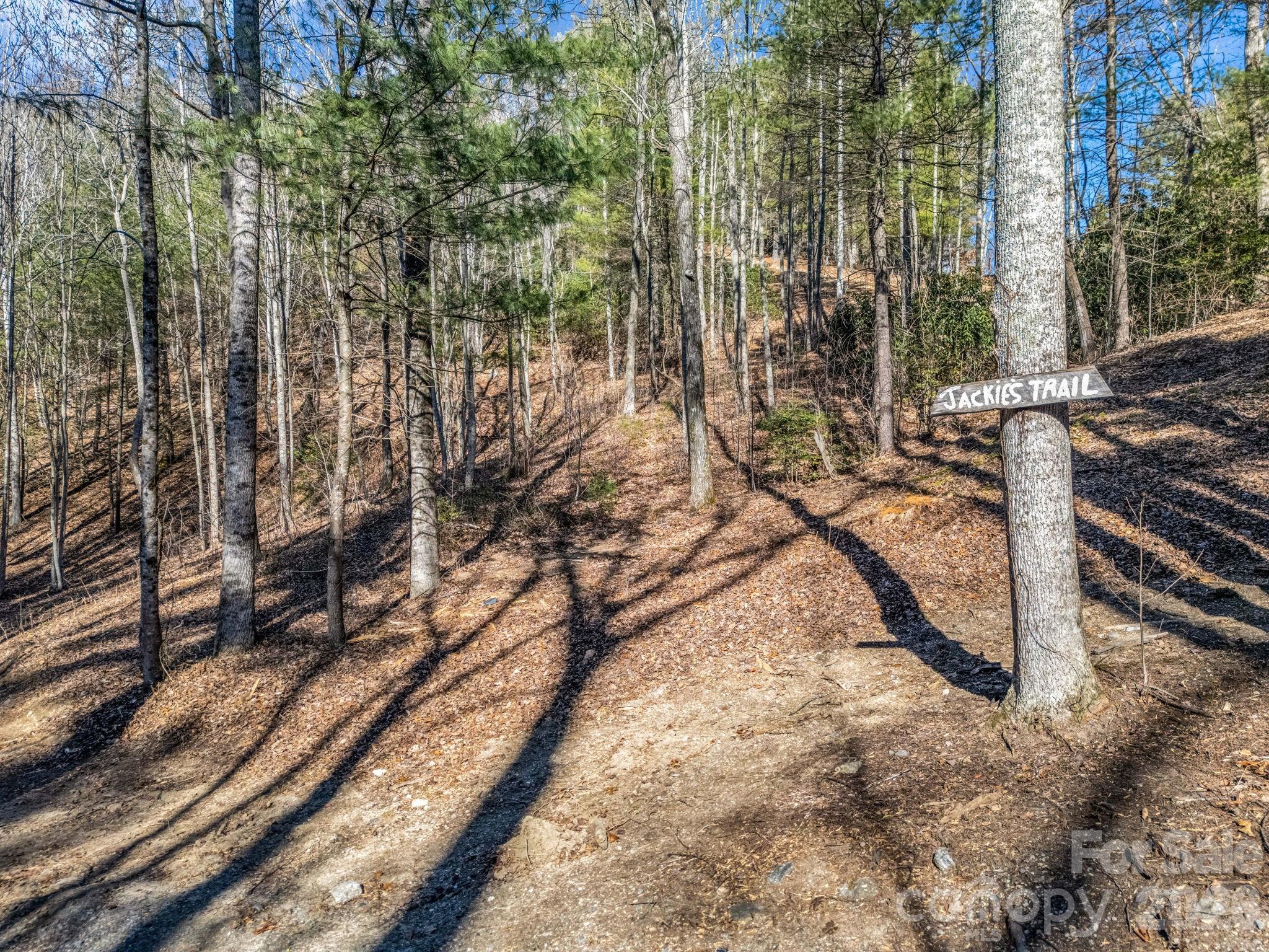 171 Justamere Lane Property Photo 10