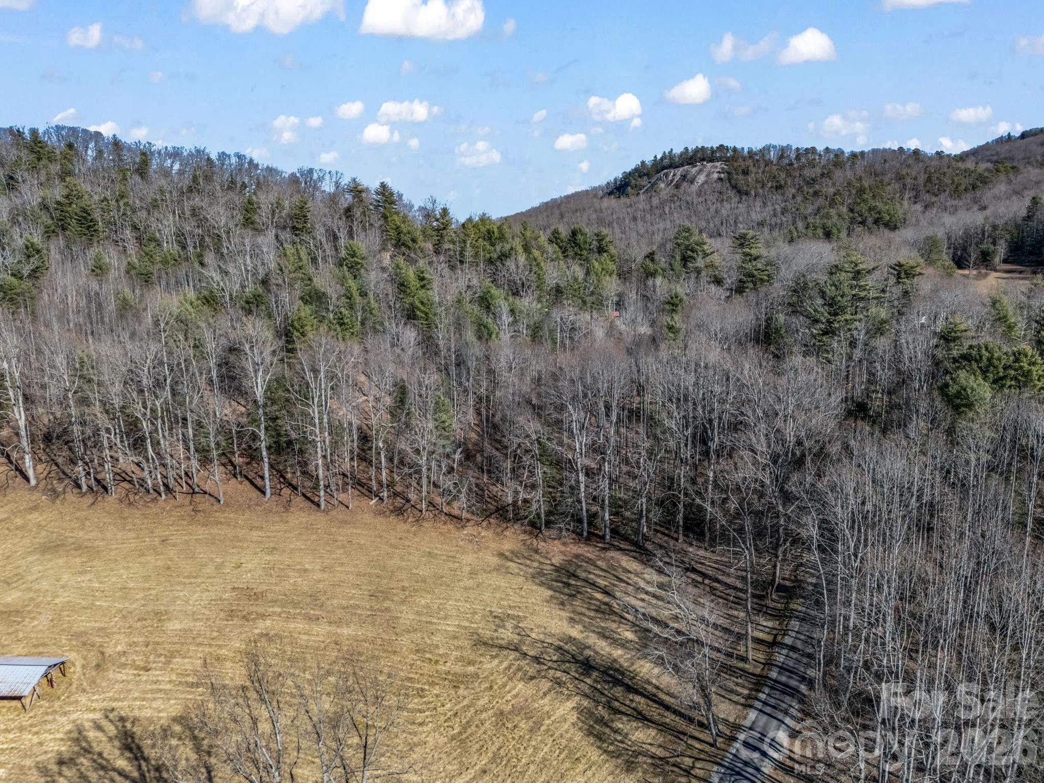 171 Justamere Lane Property Photo 13