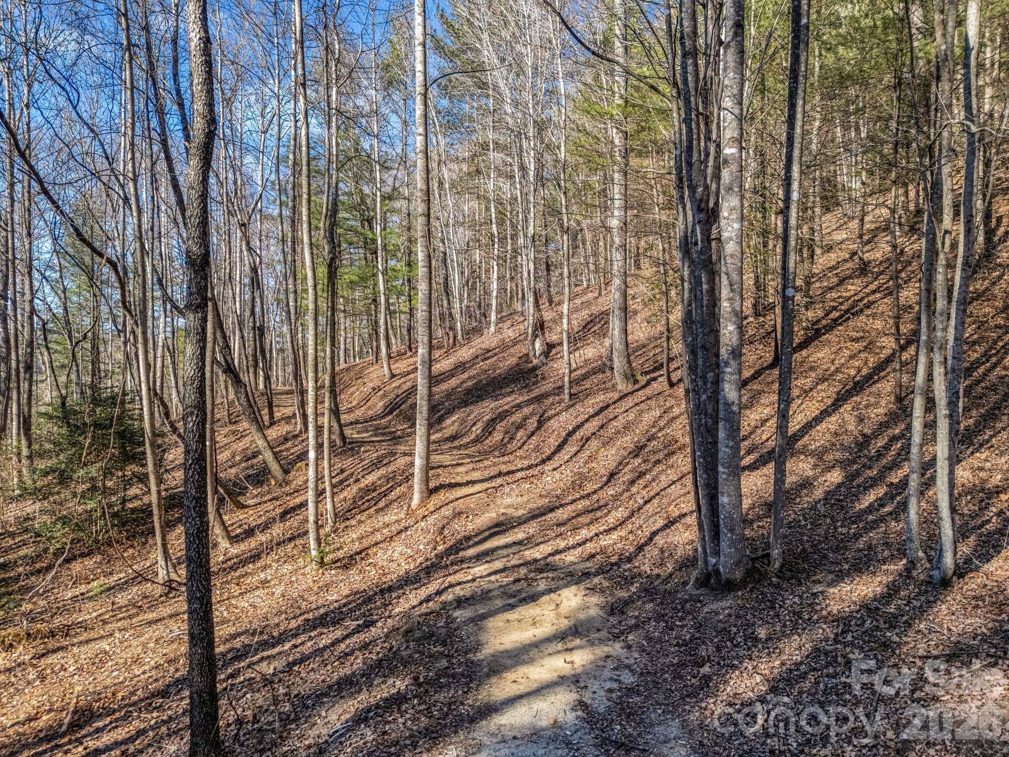181 Justamere Lane Property Photo 12