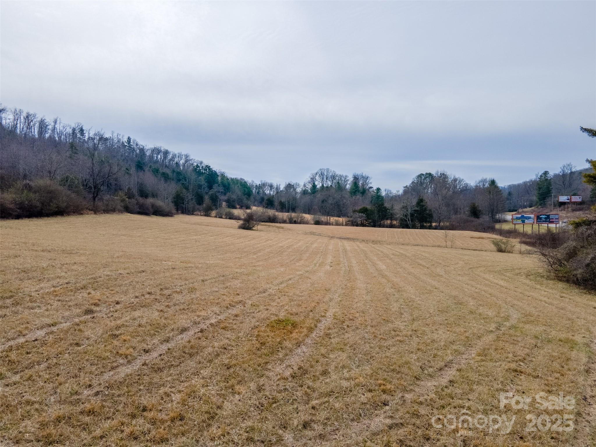 0 Georgia Road Property Photo 2
