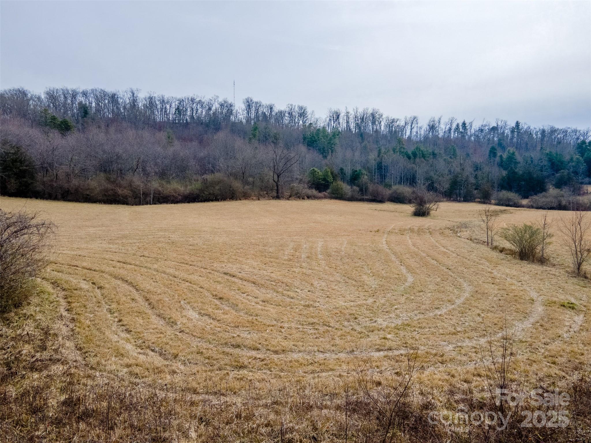 0 Georgia Road Property Photo 3