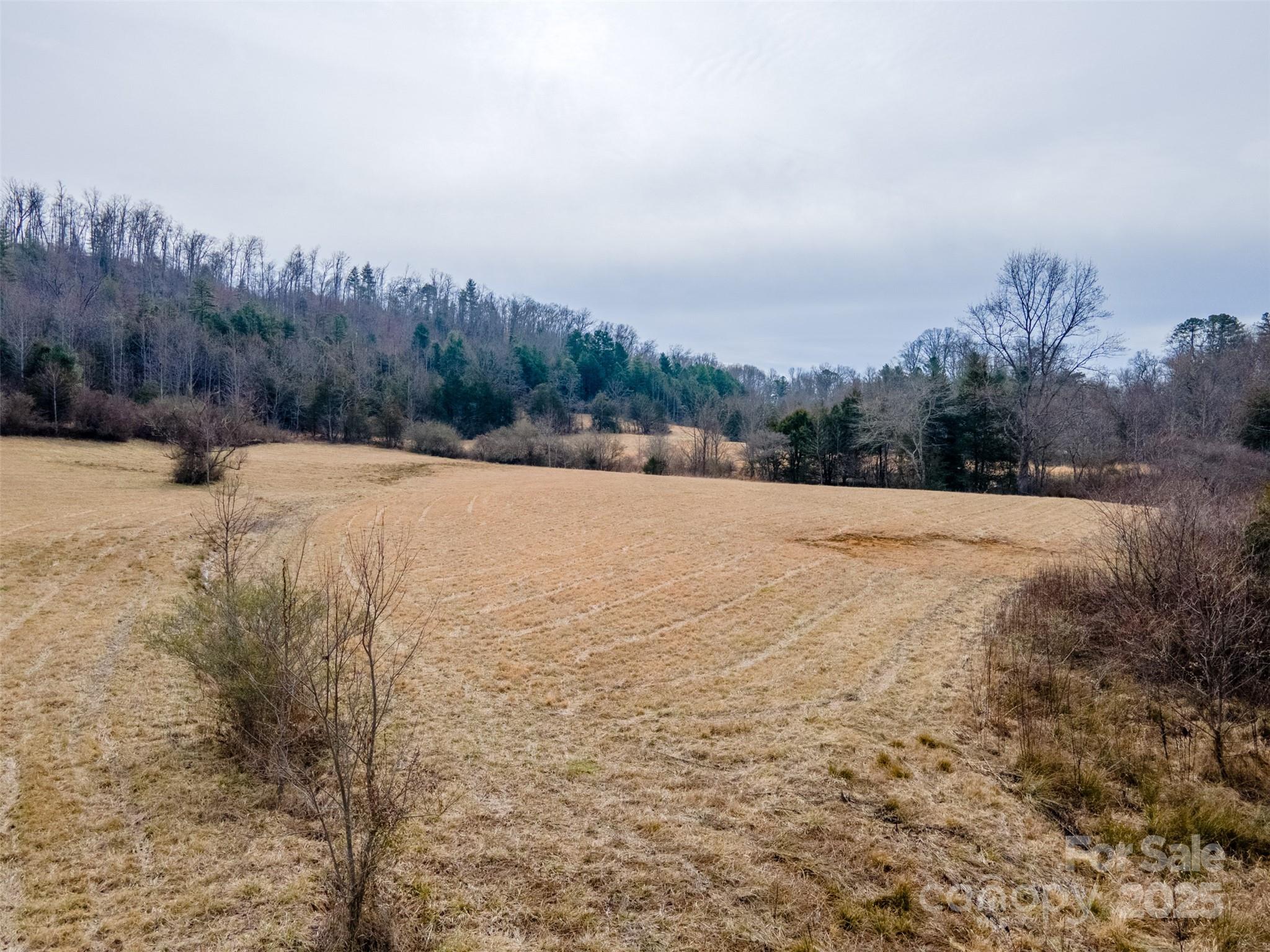 0 Georgia Road Property Photo 4