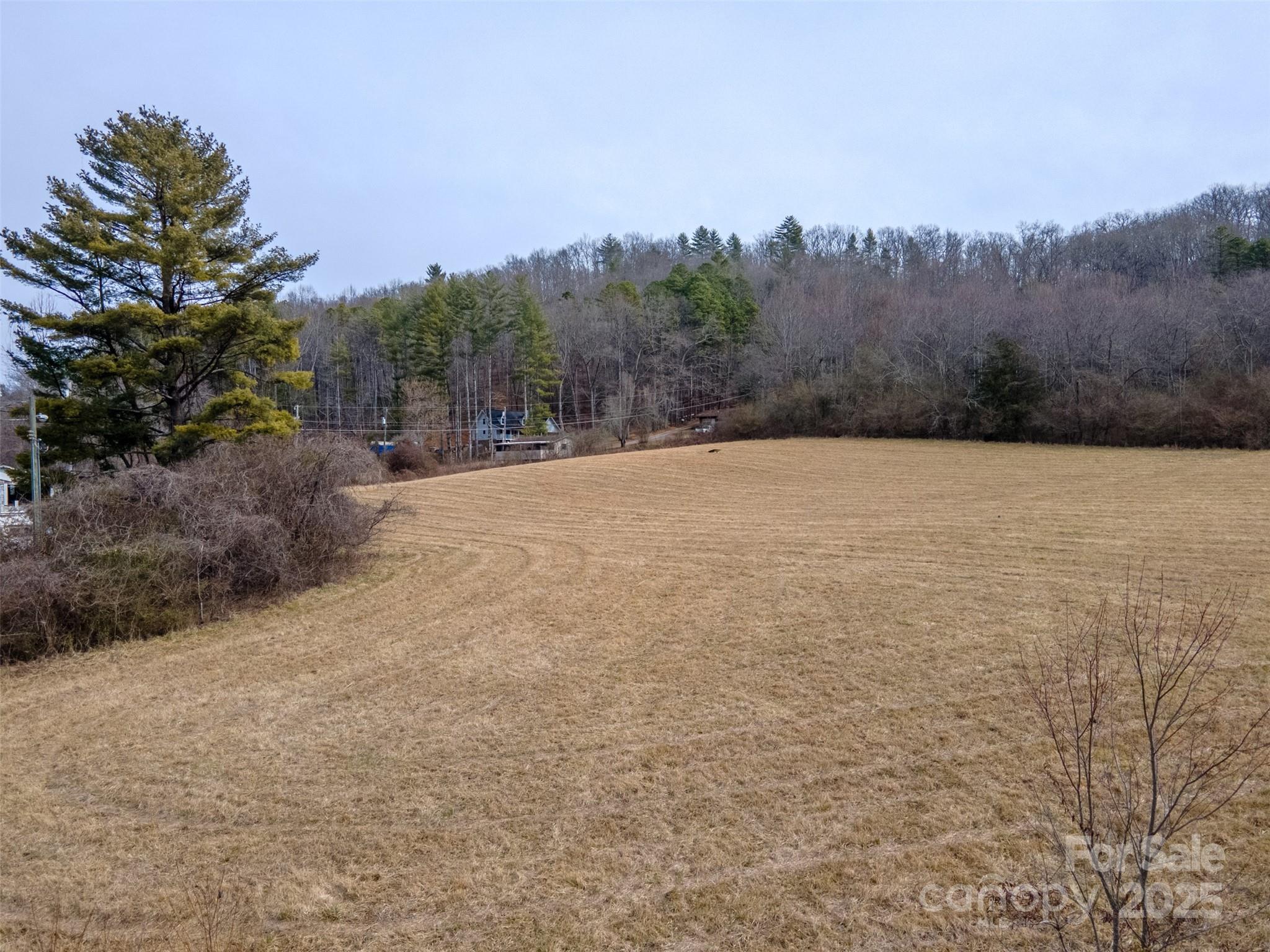 0 Georgia Road Property Photo 5