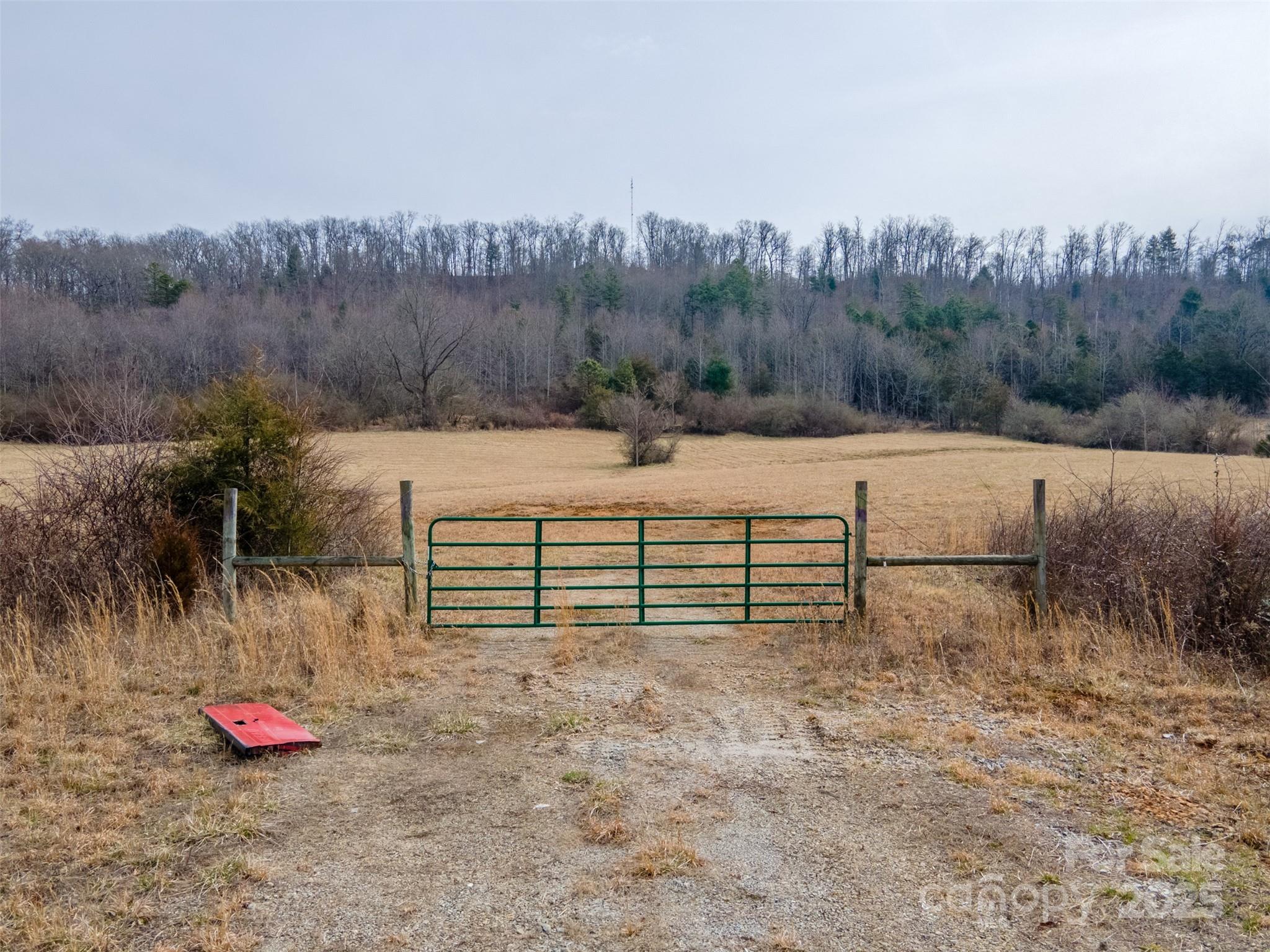 0 Georgia Road Property Photo 7
