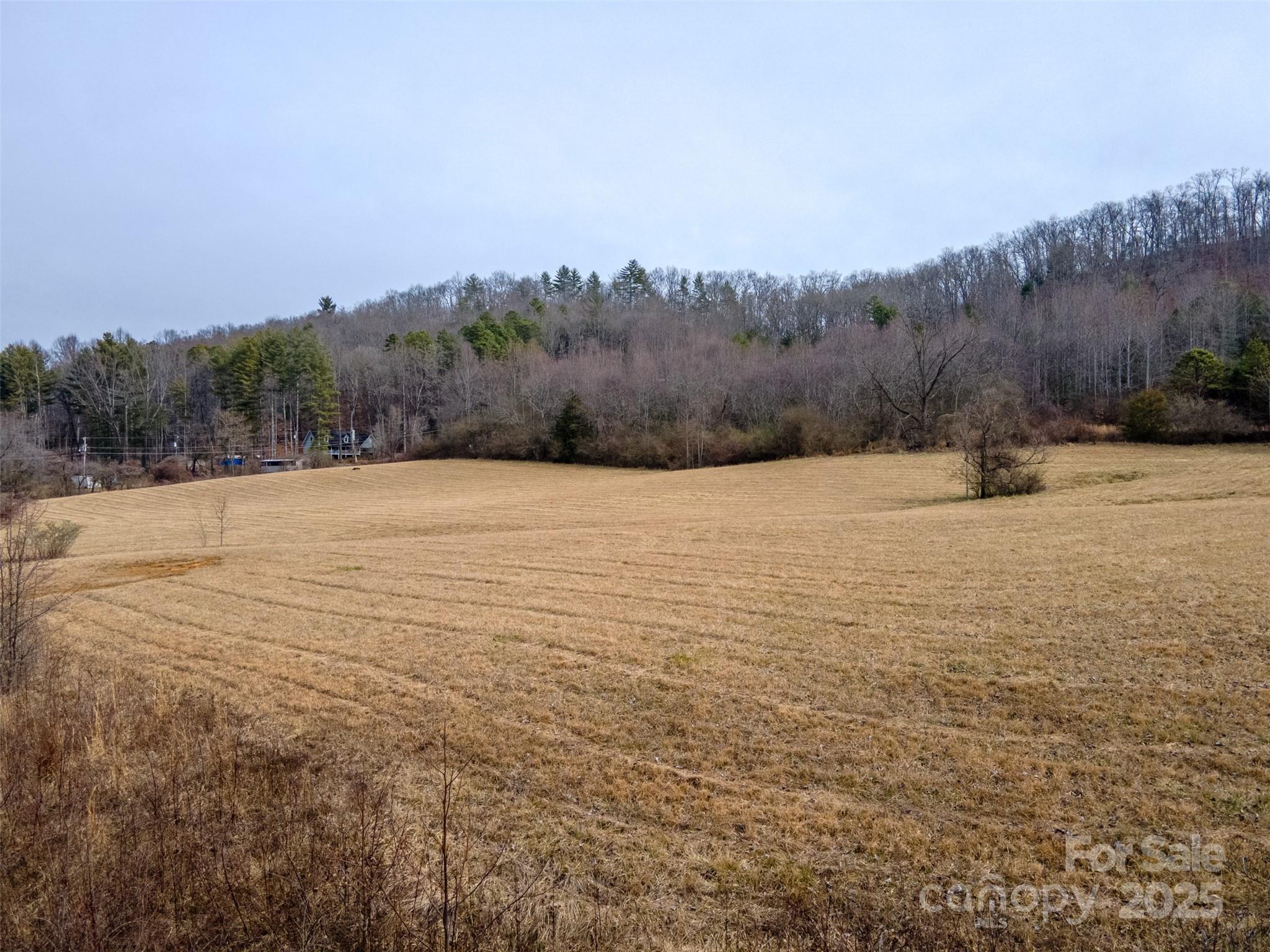 0 Georgia Road Property Photo 8