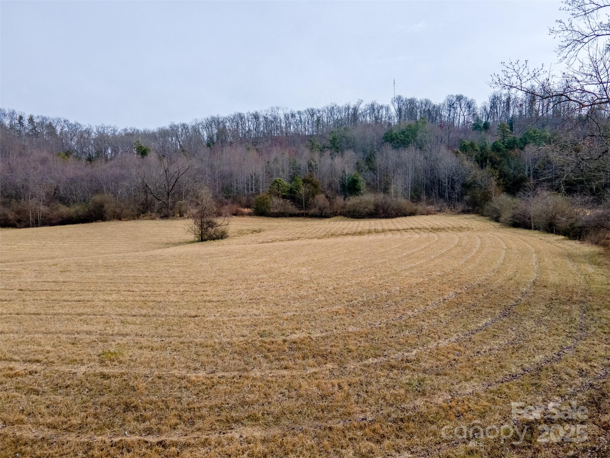 0 Georgia Road Property Photo 9