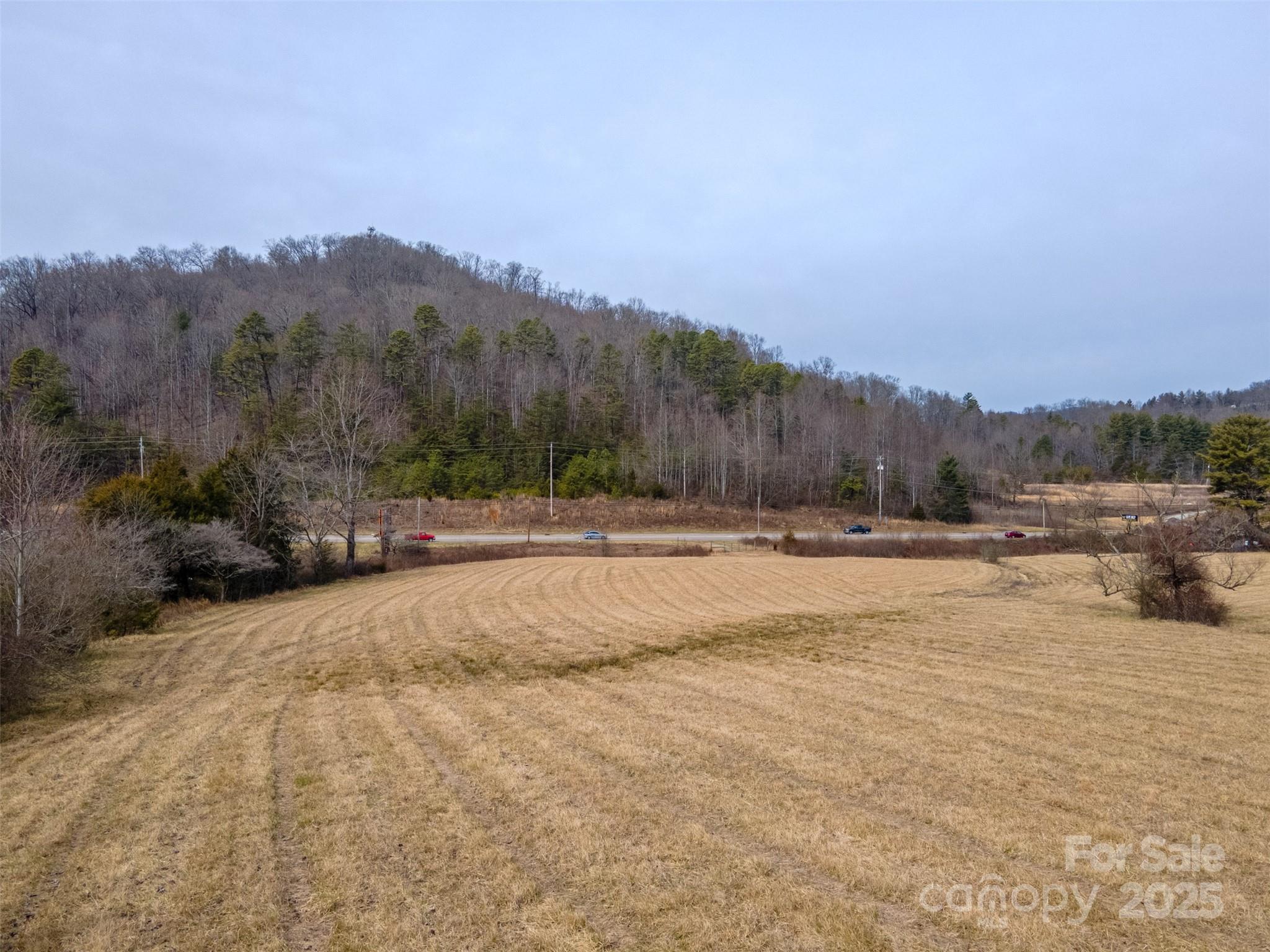 0 Georgia Road Property Photo 10