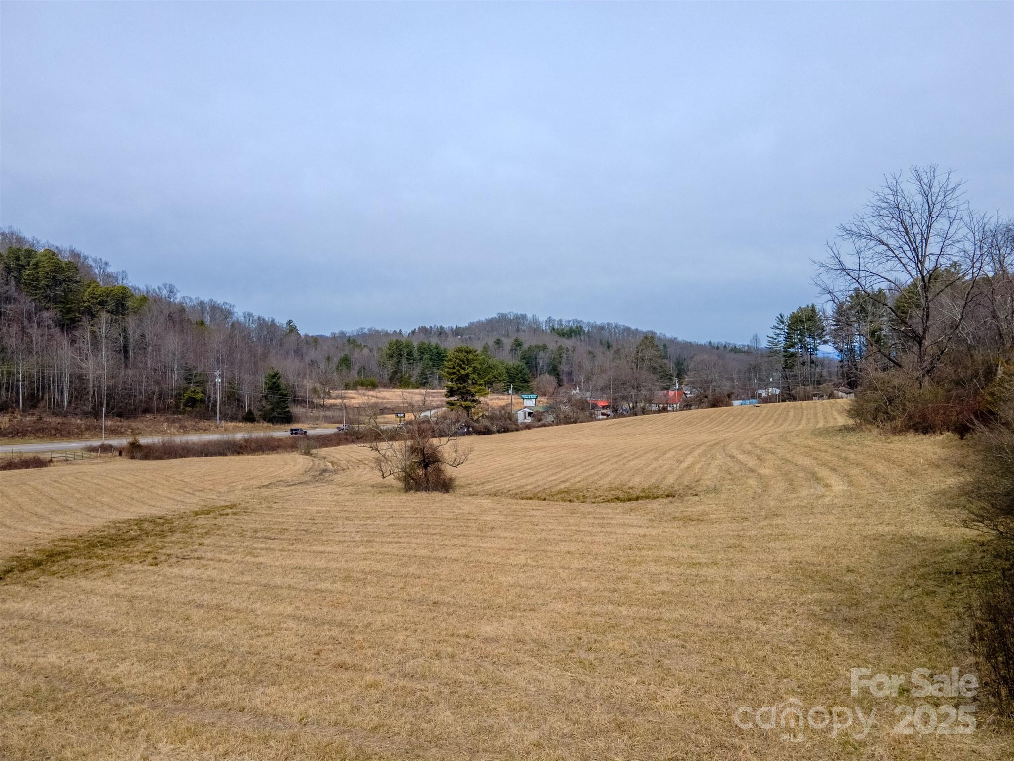 0 Georgia Road Property Photo 11