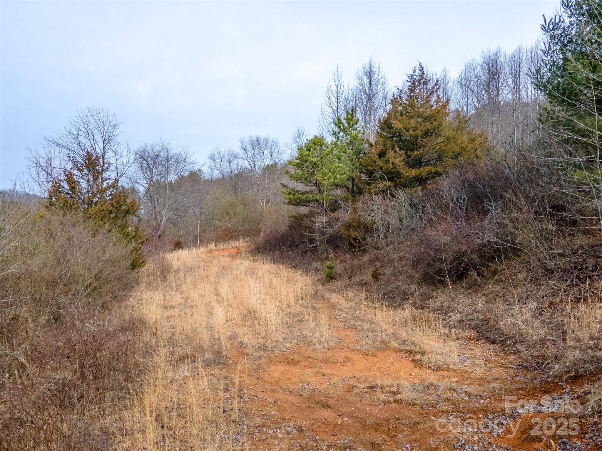 0 Georgia Road Property Photo 12