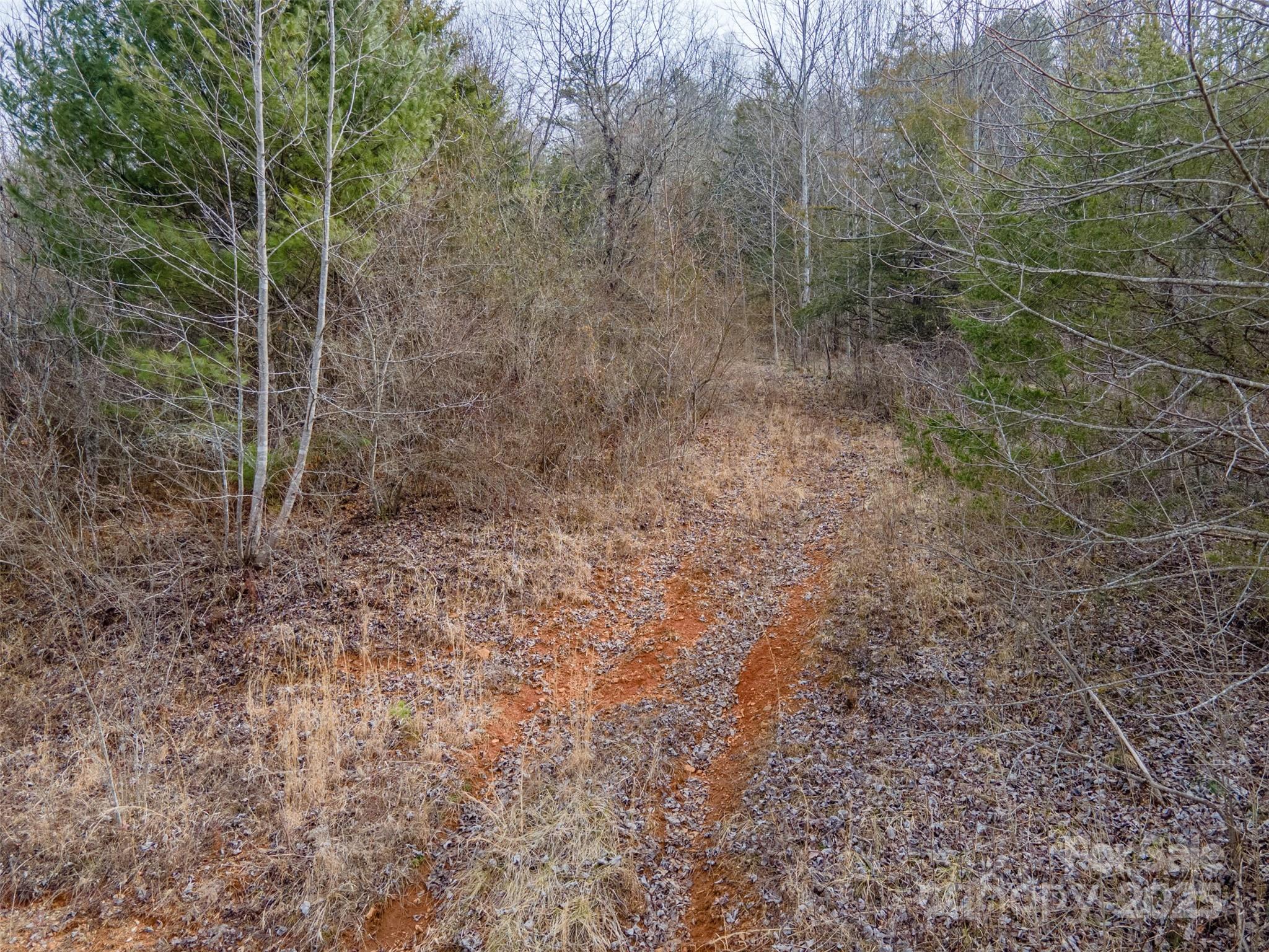 0 Georgia Road Property Photo 13