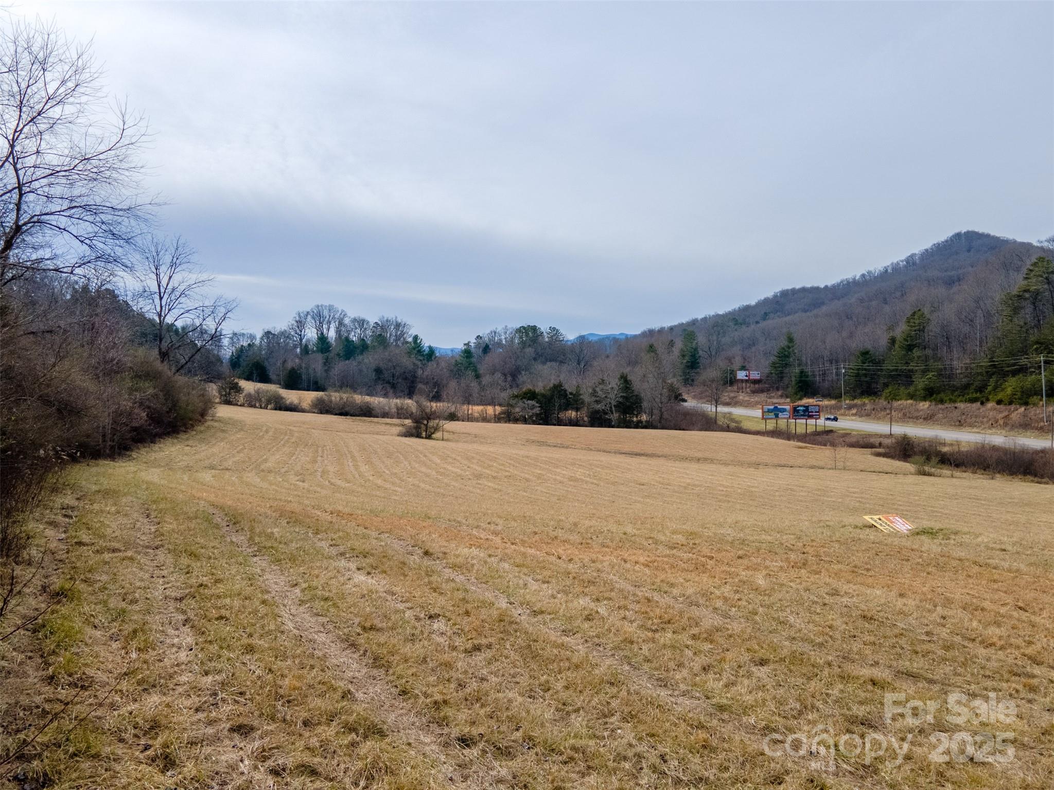 0 Georgia Road Property Photo 14