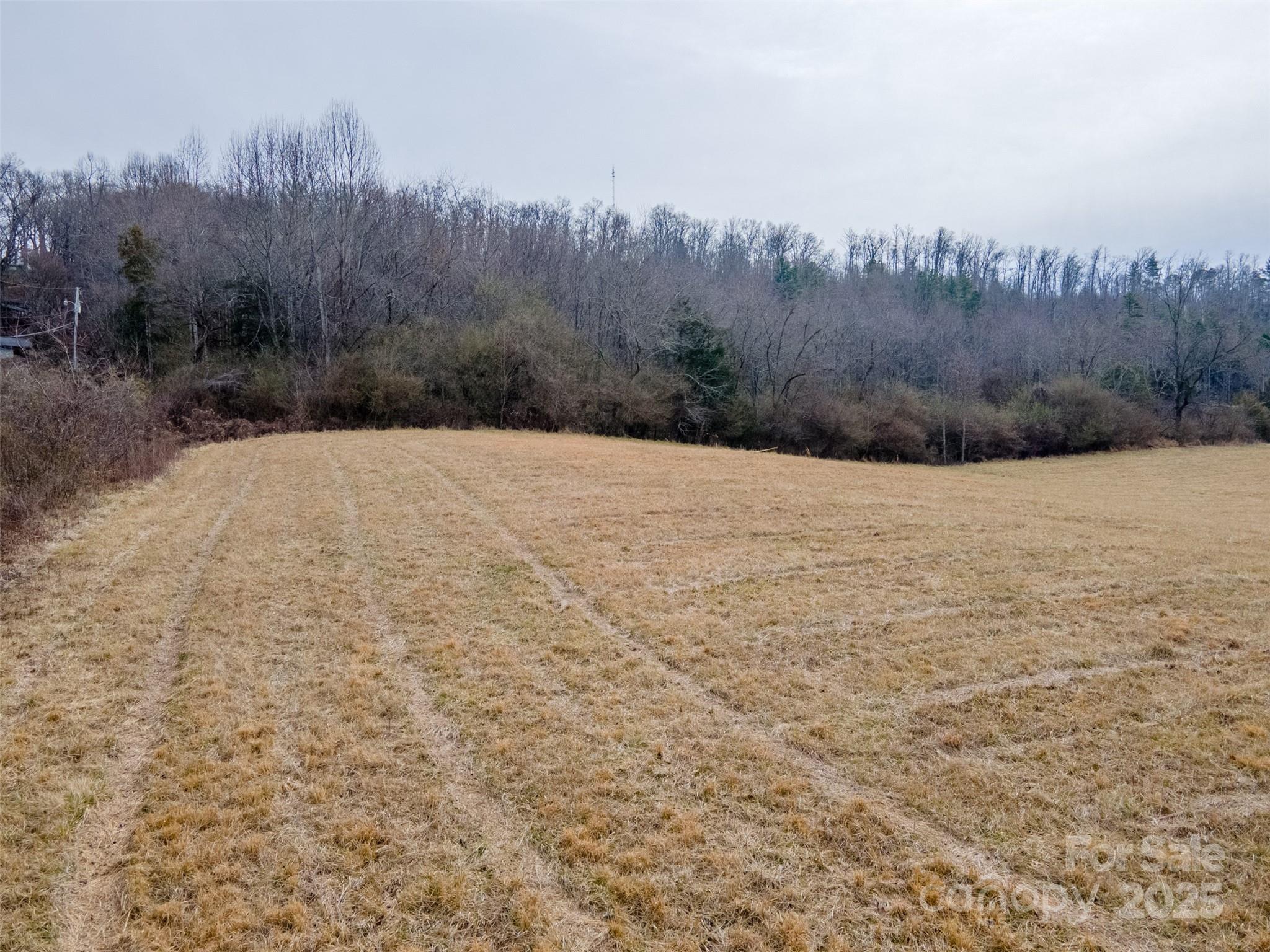 0 Georgia Road Property Photo 29