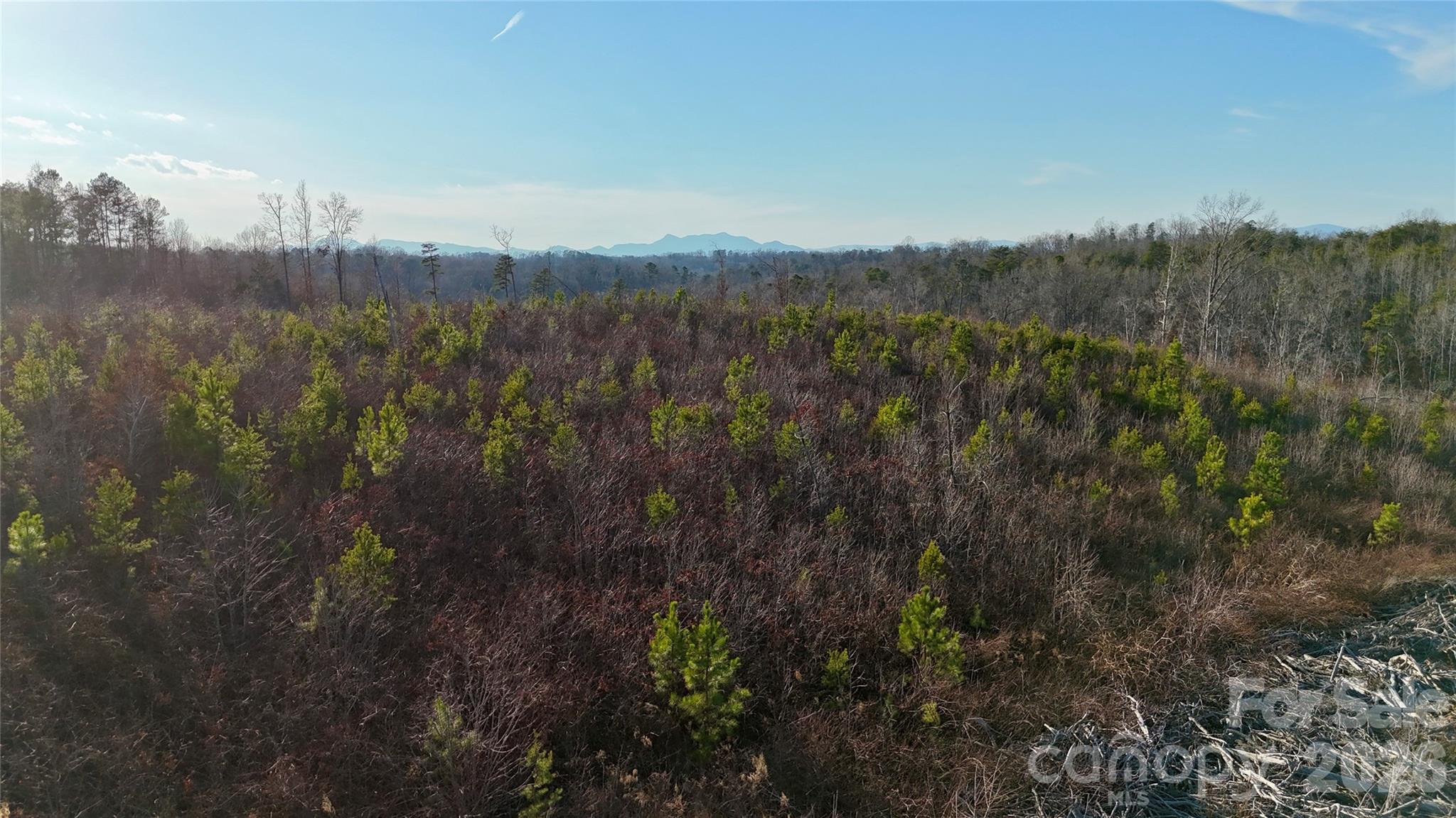 0 Brady Hampton Drive Property Photo 11