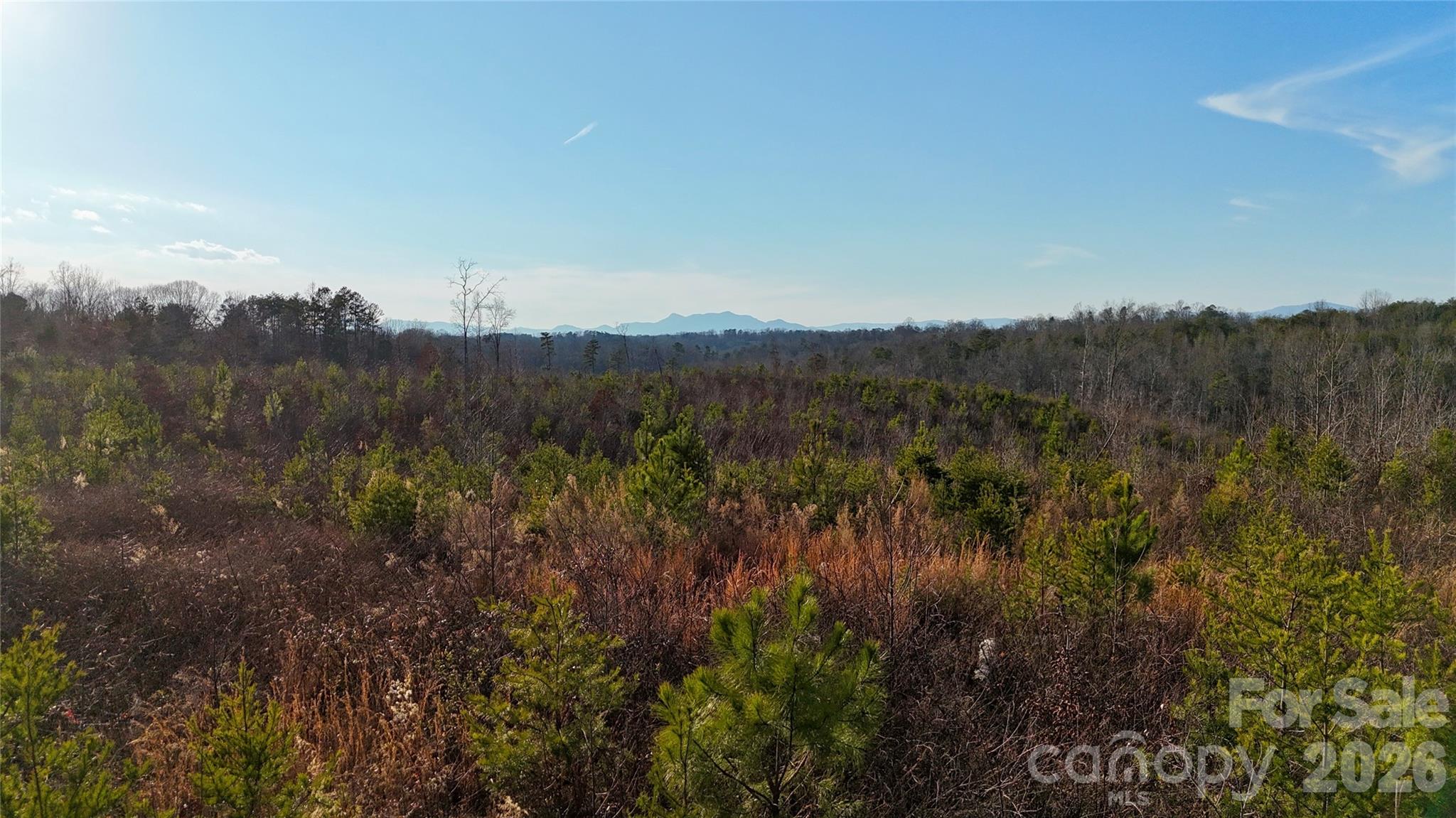 0 Brady Hampton Drive Property Photo 13