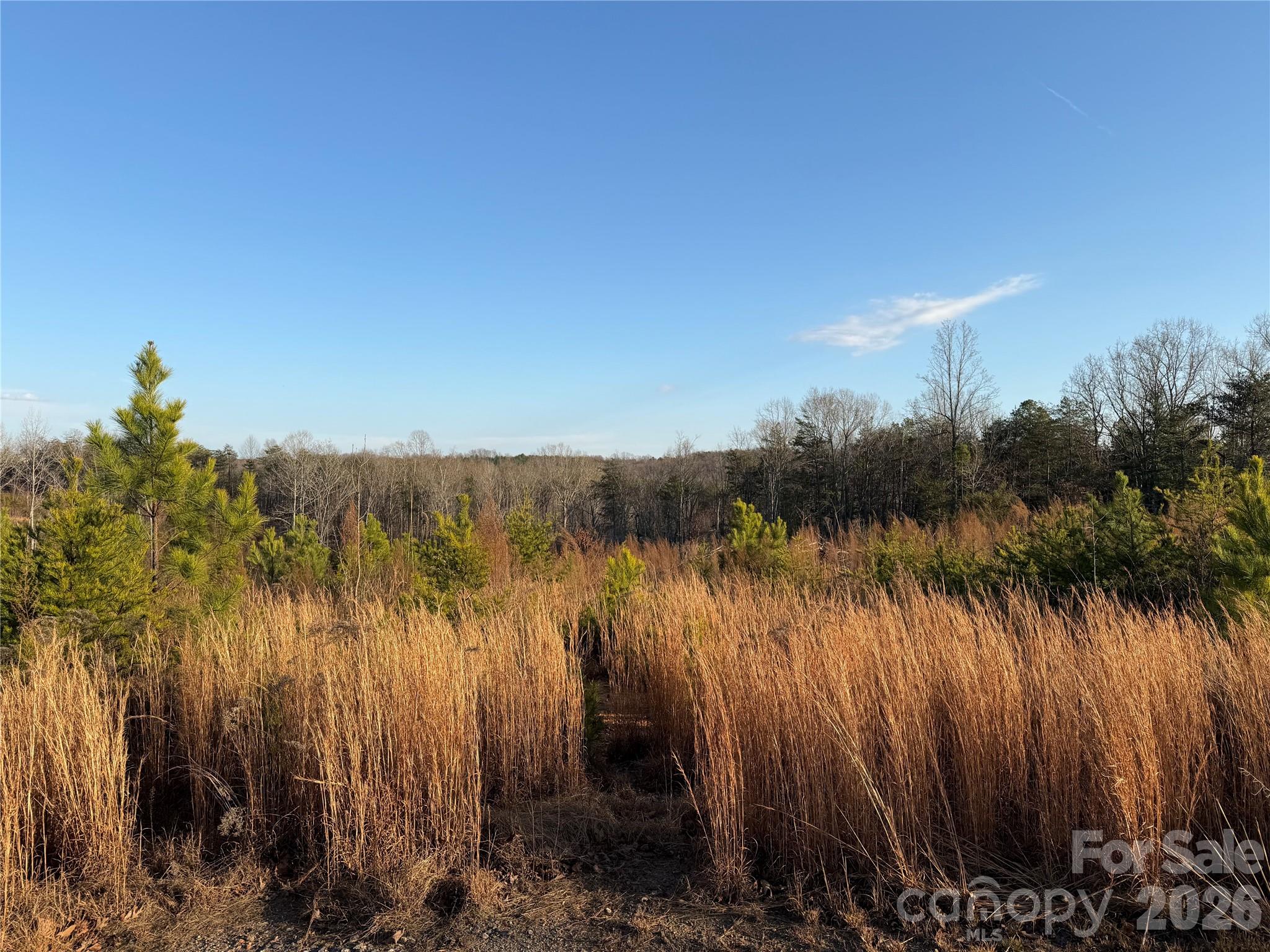 0 Brady Hampton Drive Property Photo 25