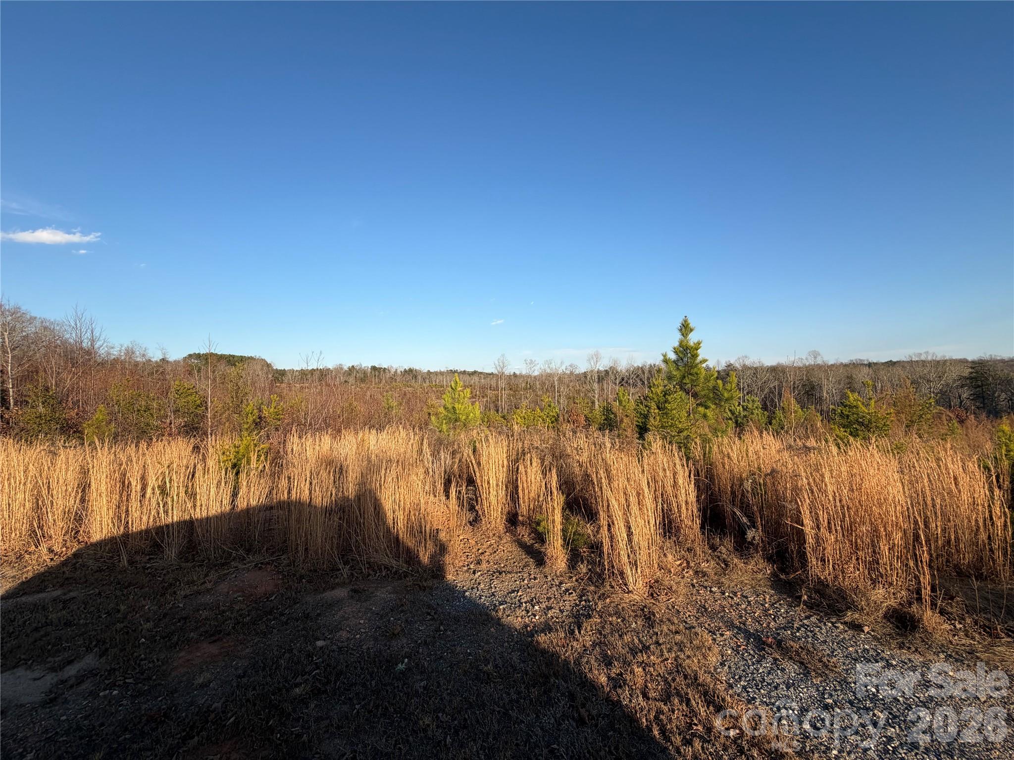 0 Brady Hampton Drive Property Photo 26